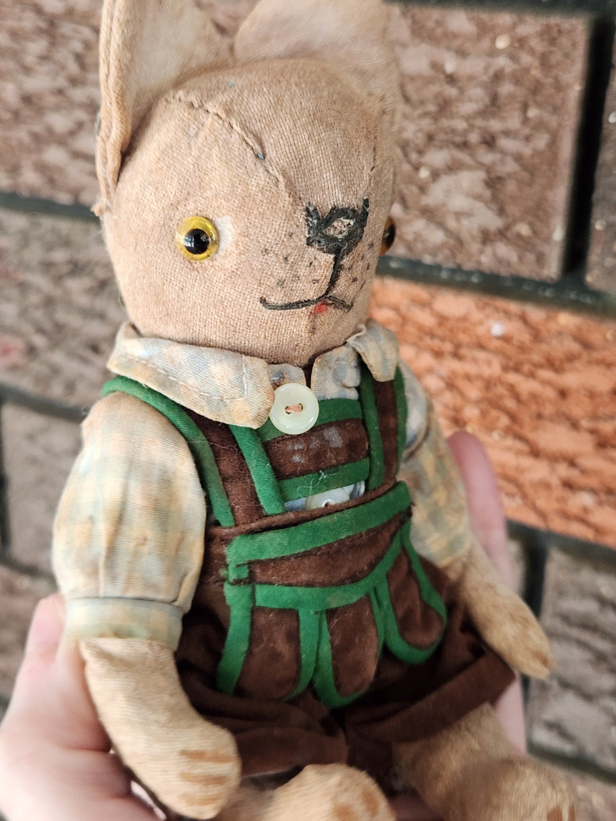 Raggy Dog