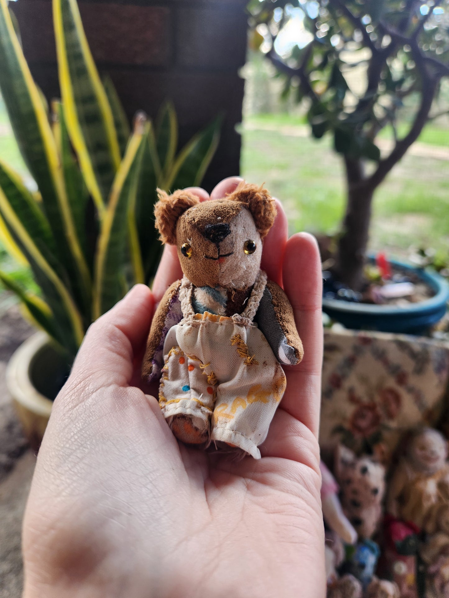 Raggy Bear