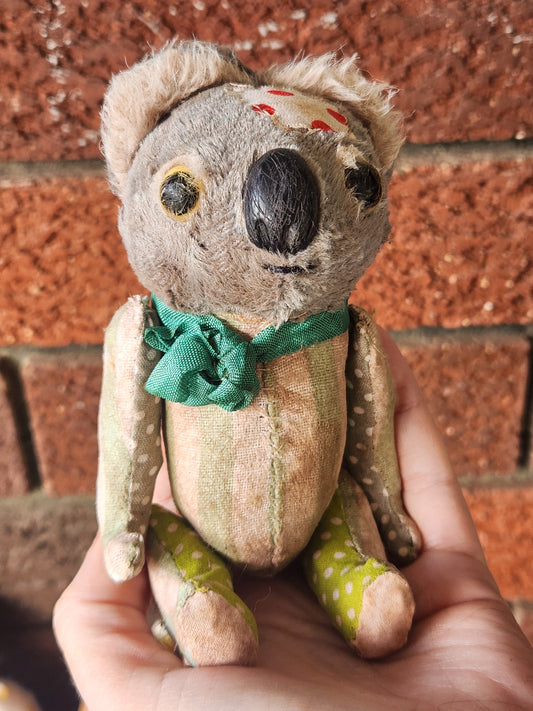 Raggy Koala