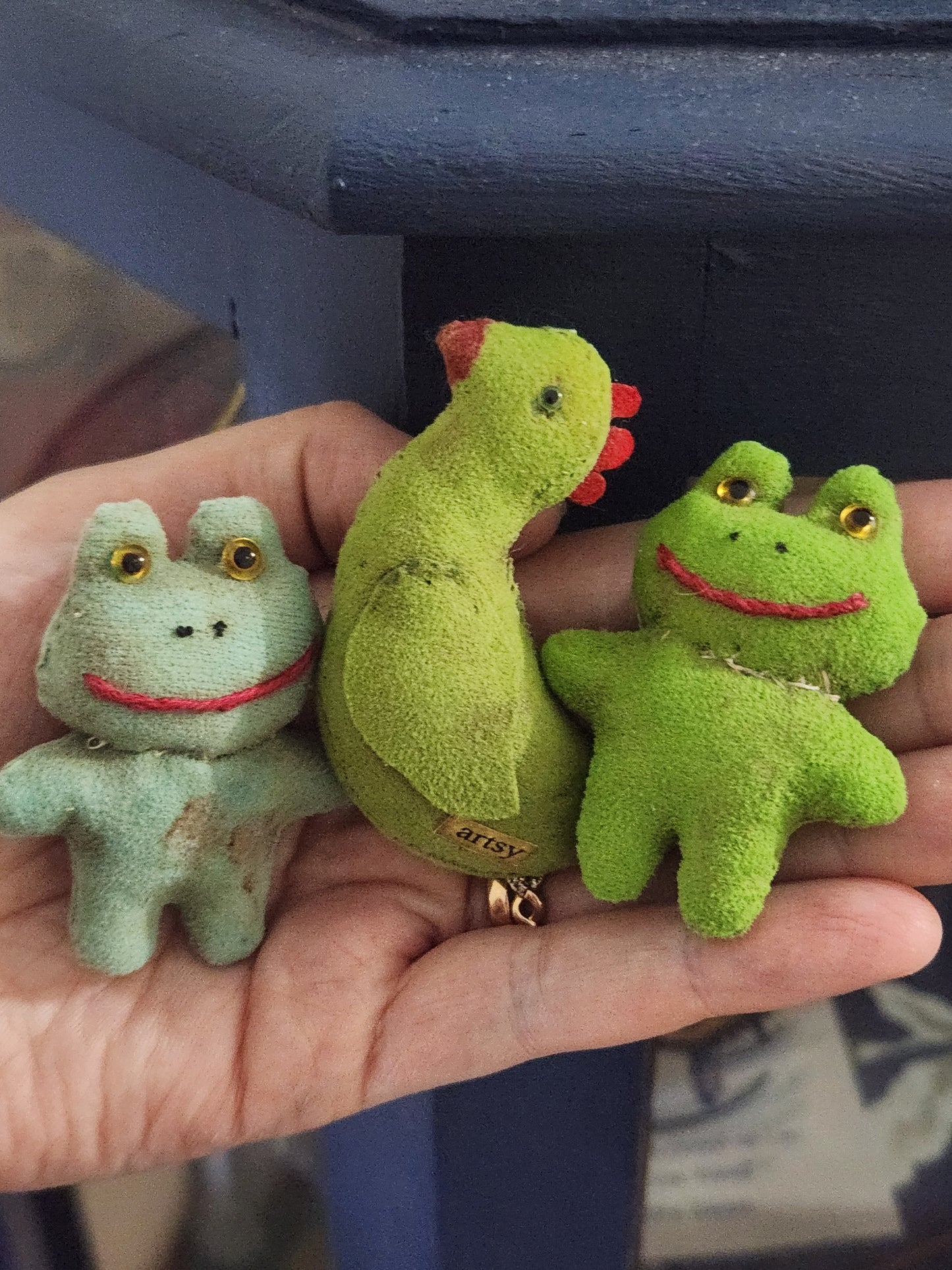 Raggy Frogs and Raggy Chicken