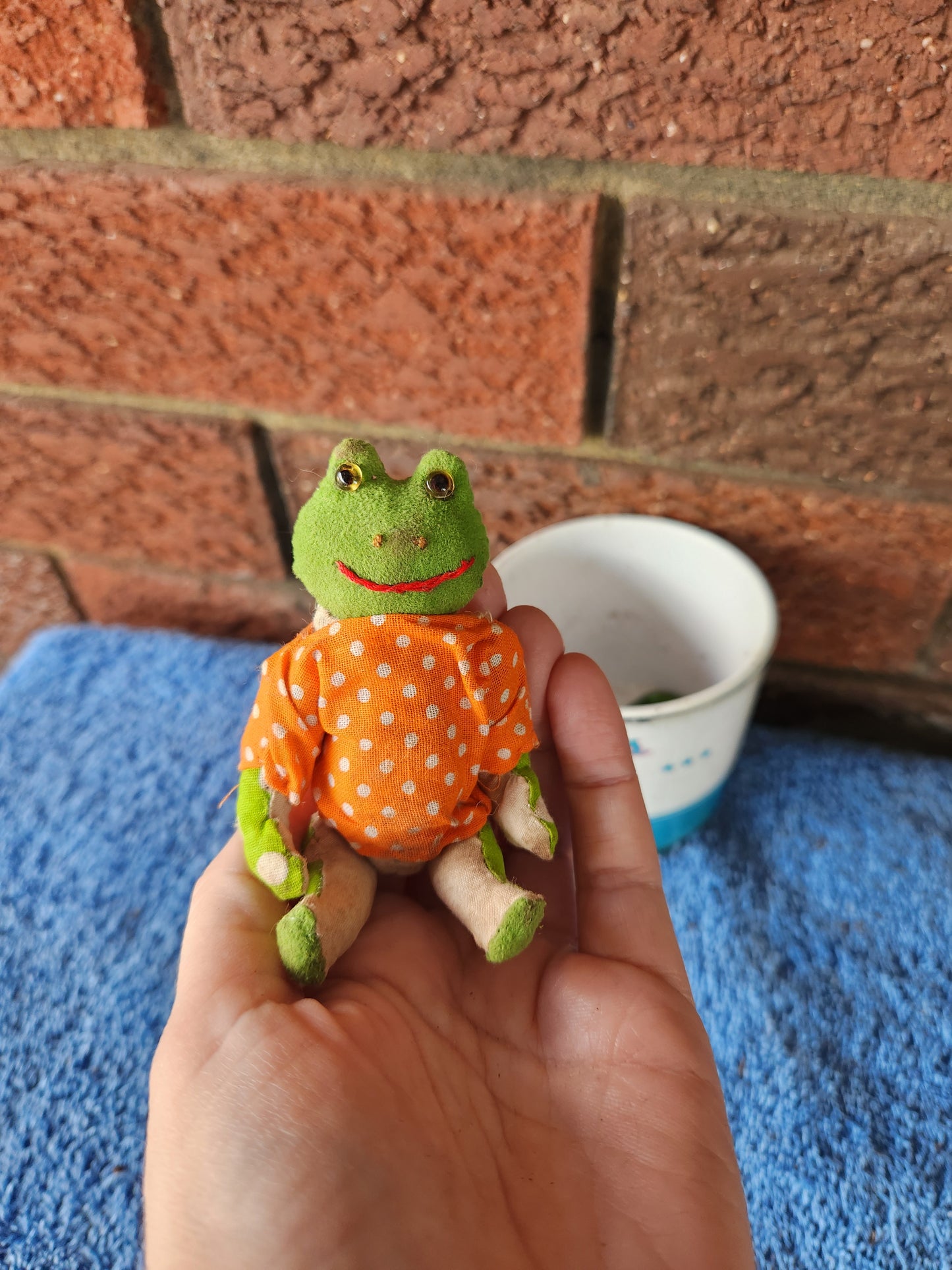 Raggy Frog