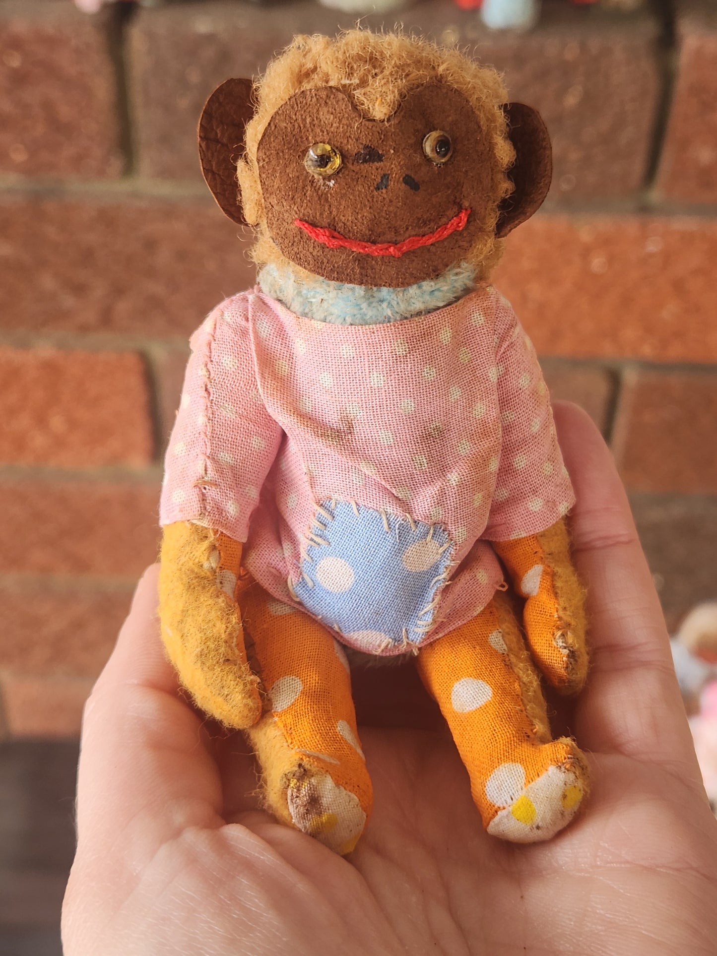 Raggy Monkey