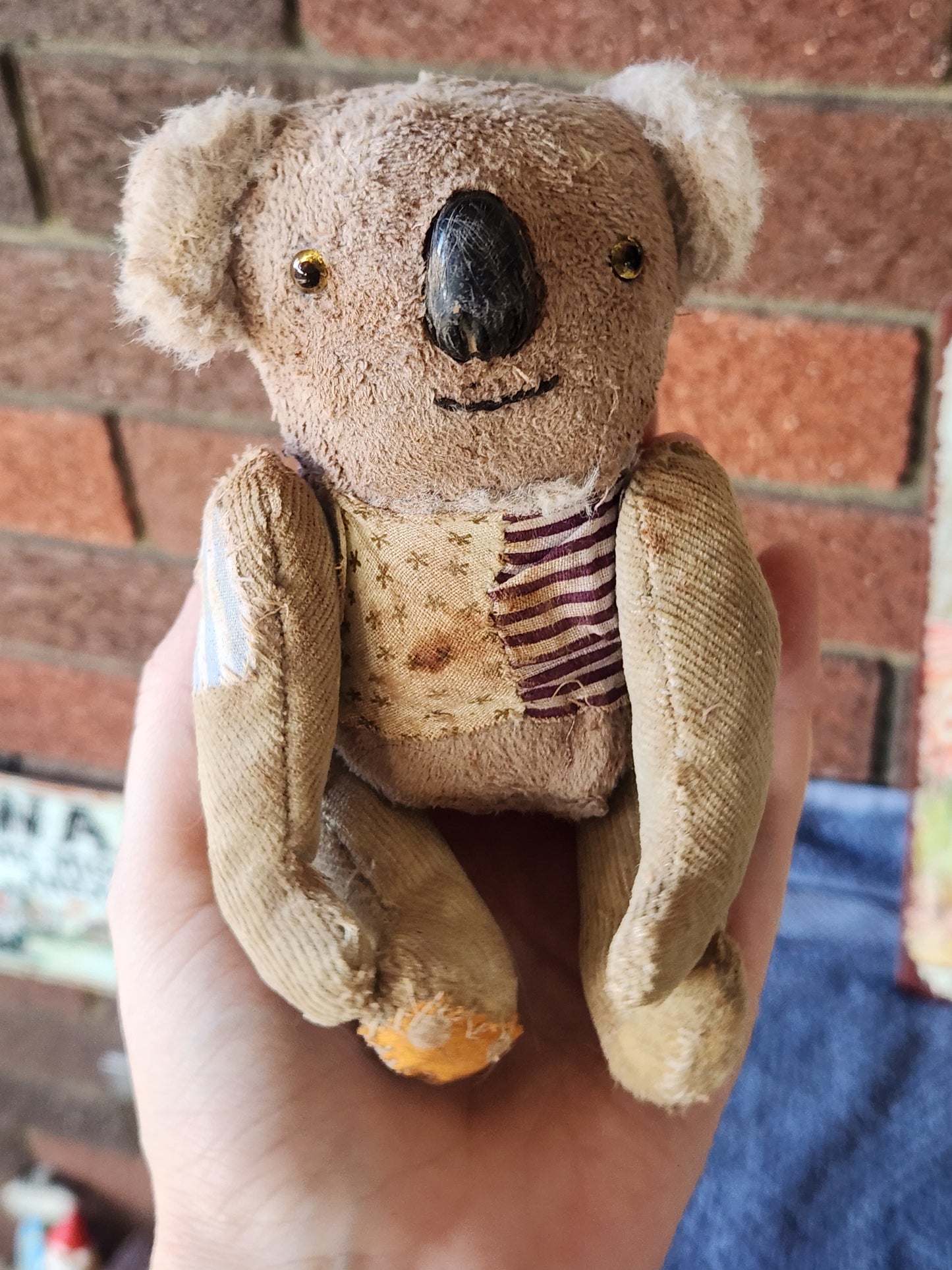 Raggy Koala
