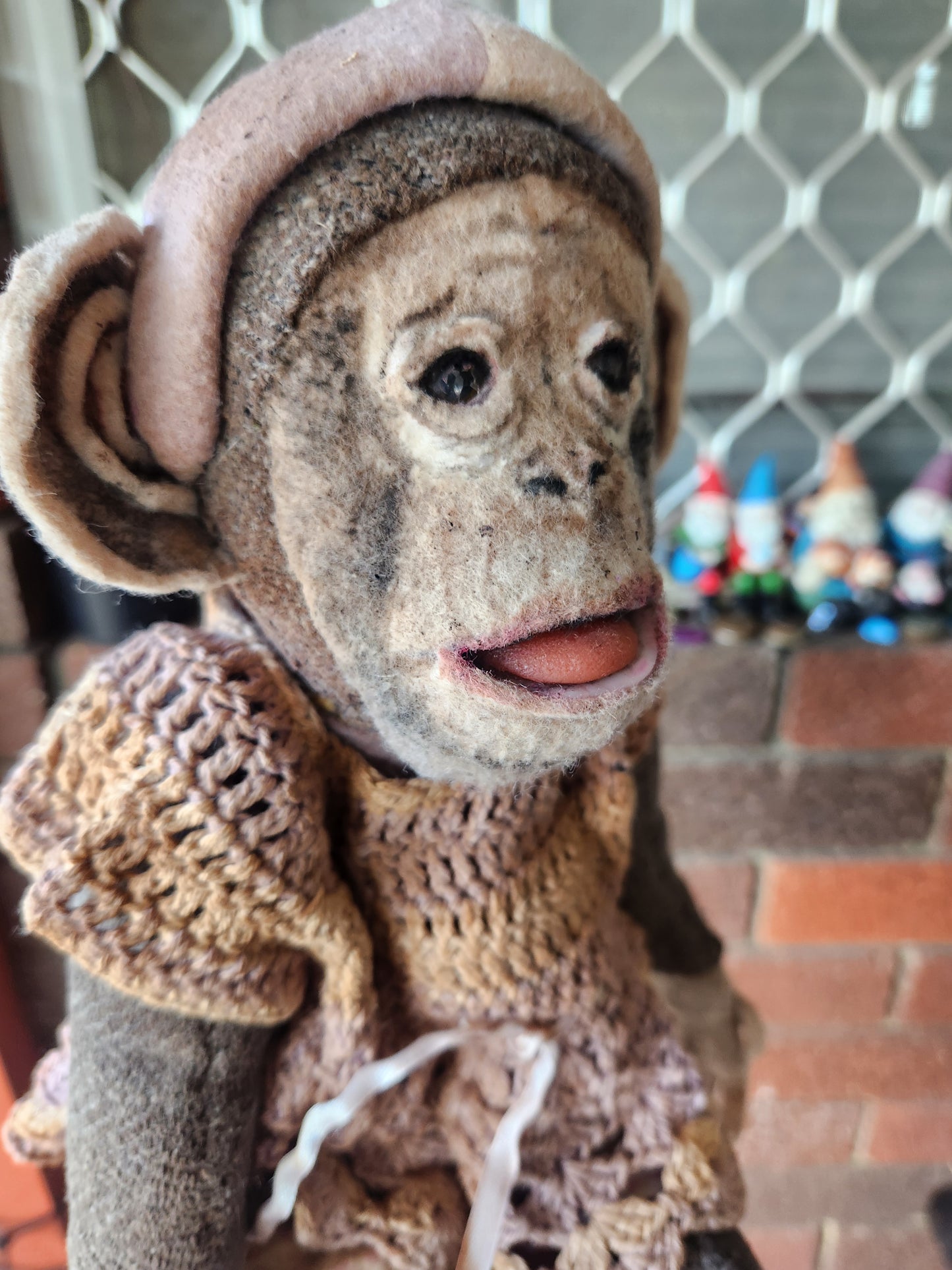 Baby Chimp 'Mooshka'