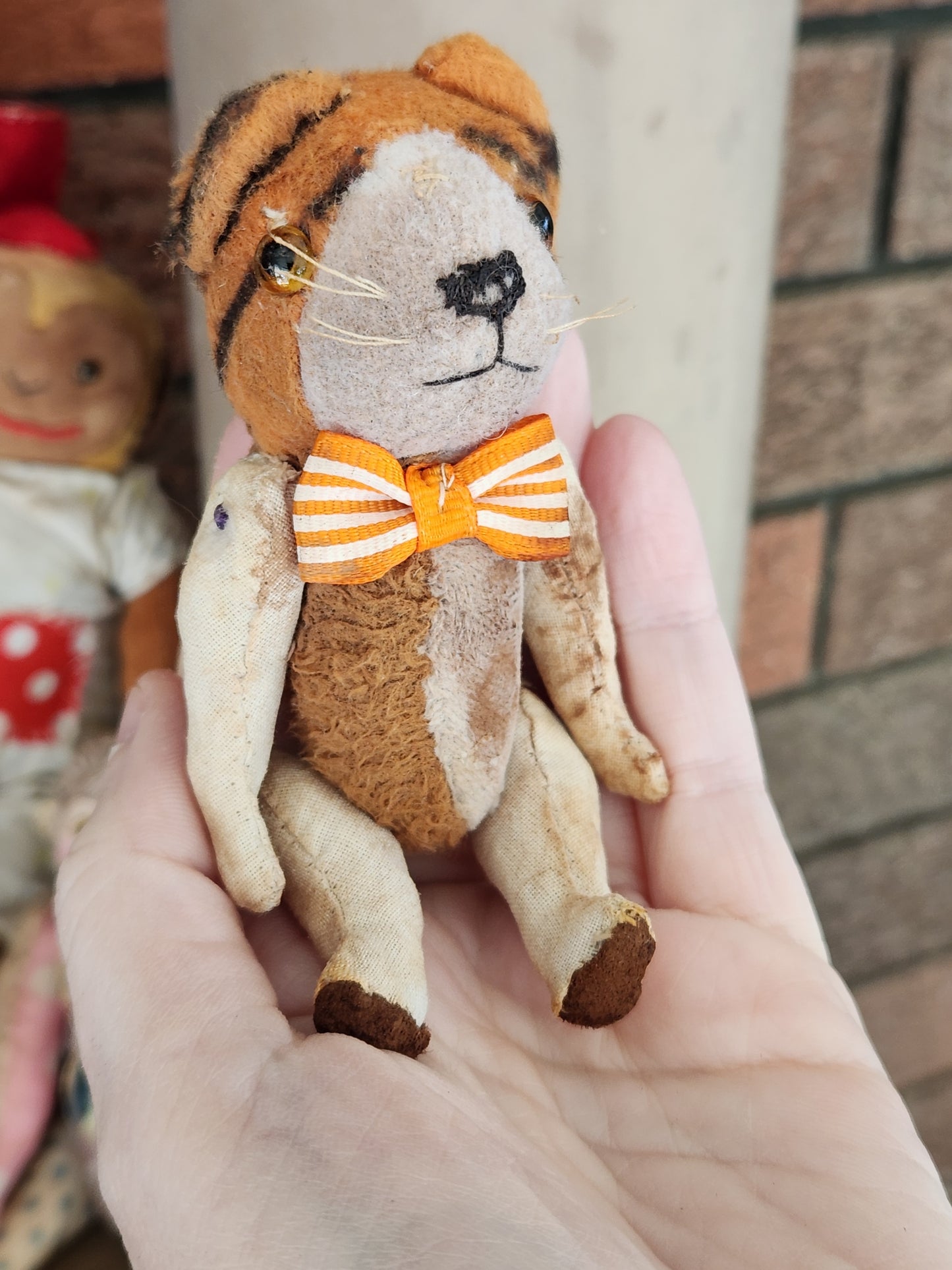 Raggy Tiger