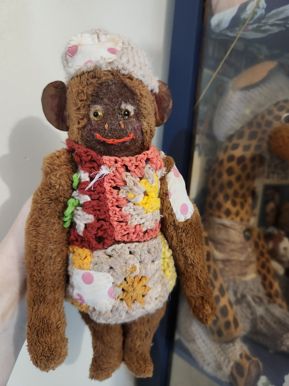Raggy Monkey