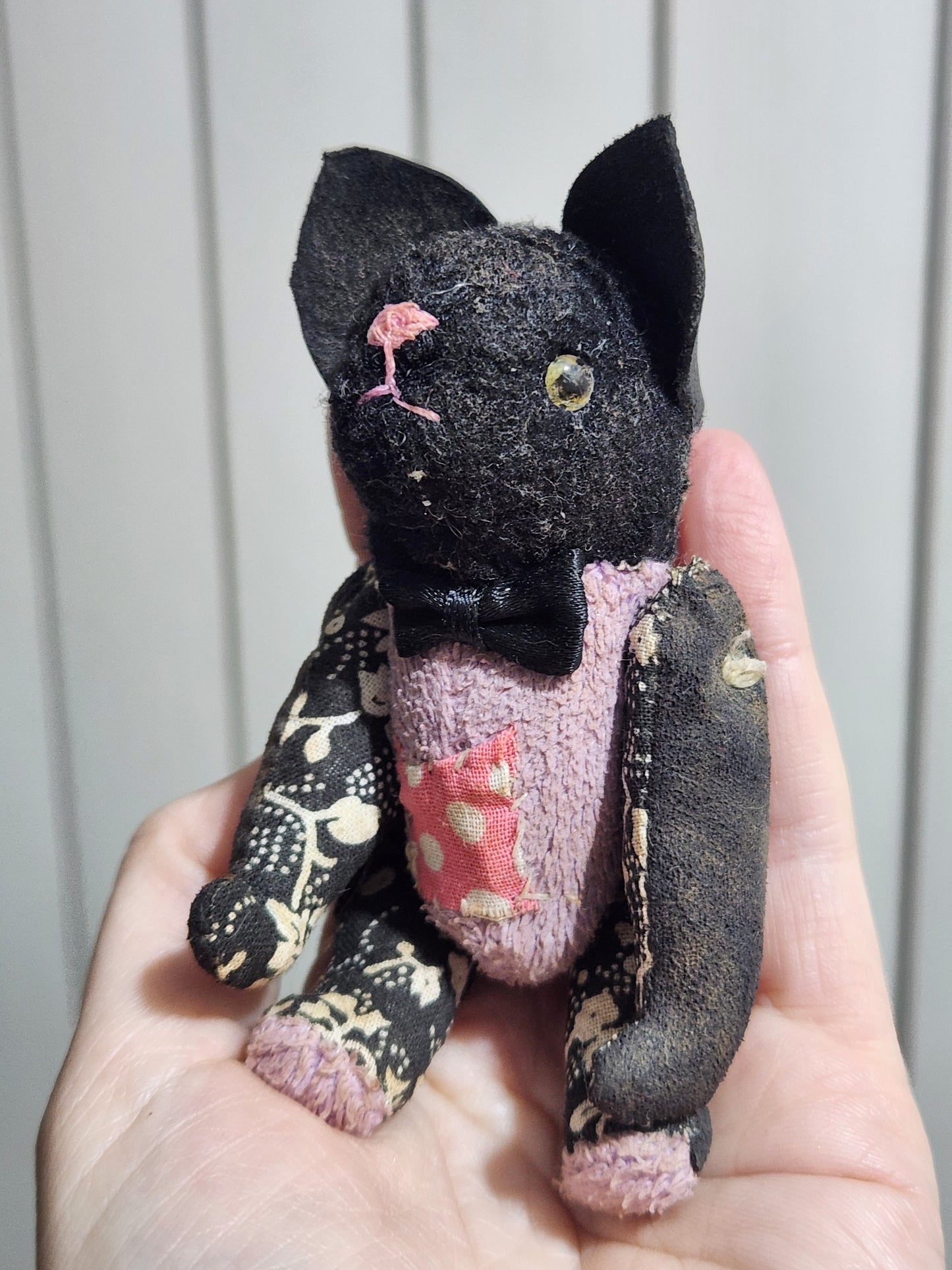 Raggy Cat
