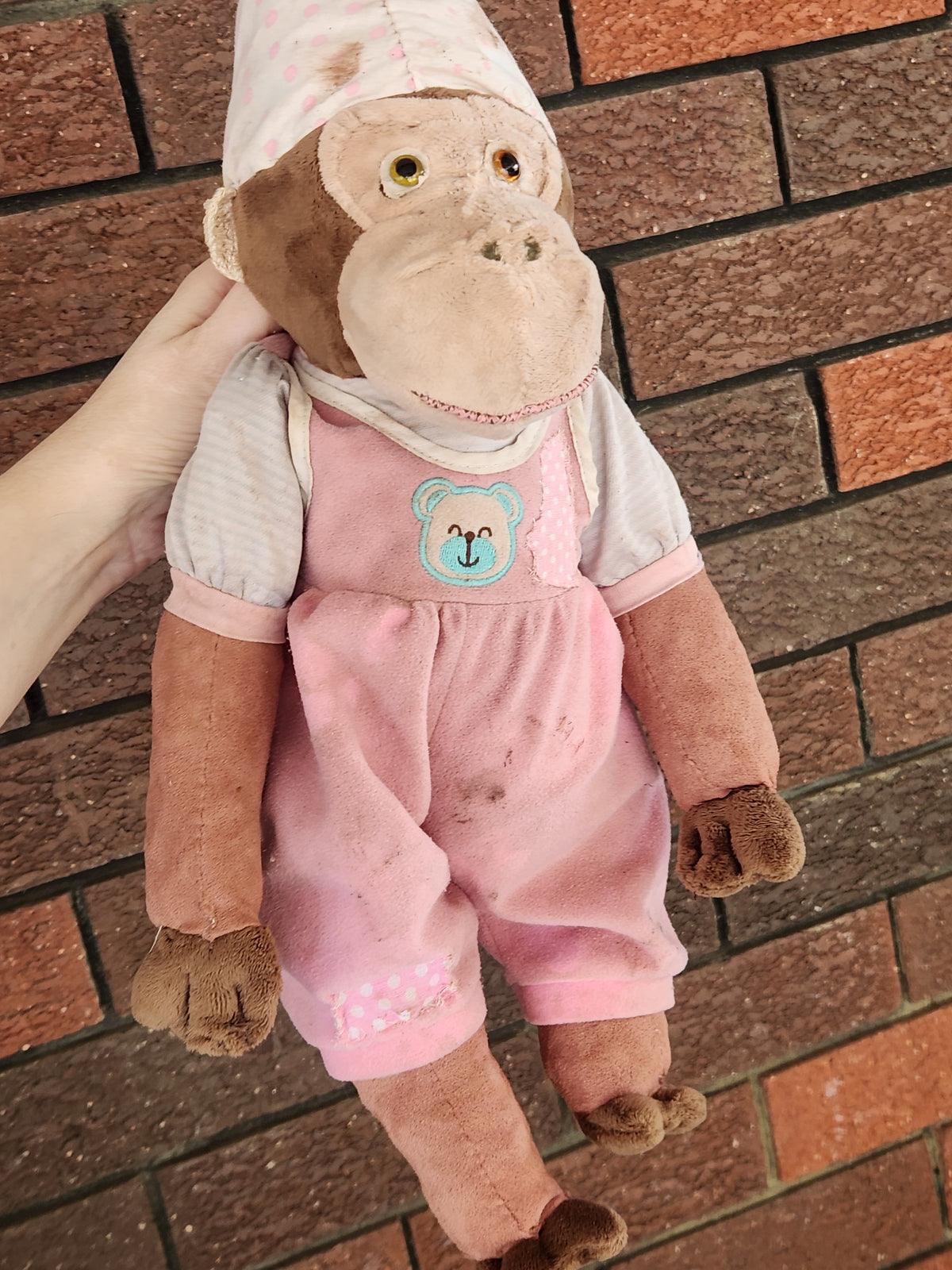 Raggy Monkey