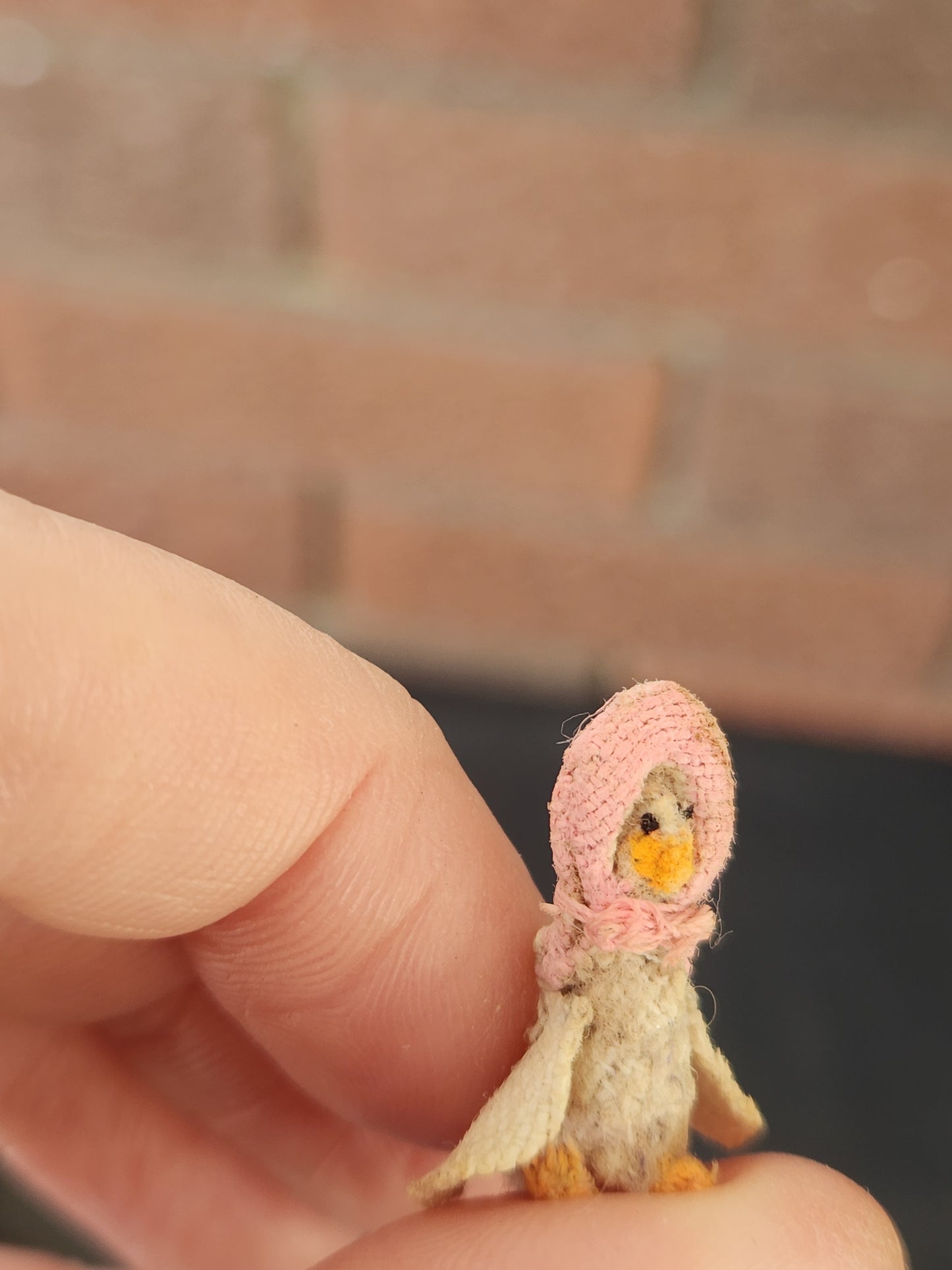 Micro Puddleduck