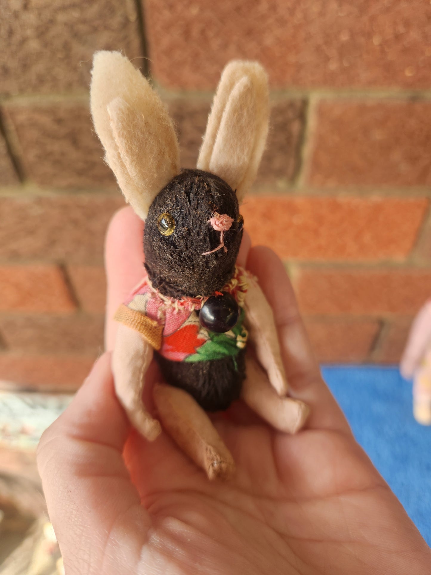 Raggy Rabbit