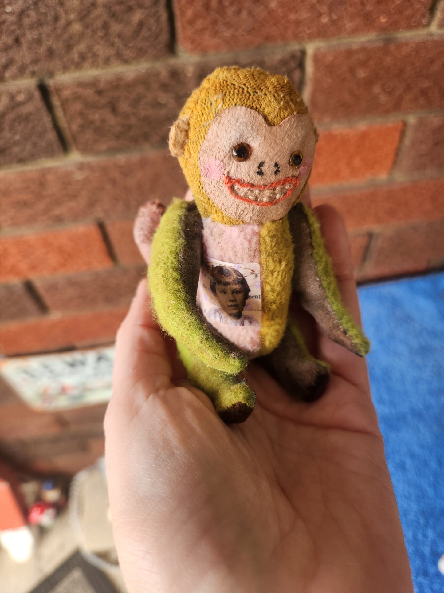 Raggy Monkey