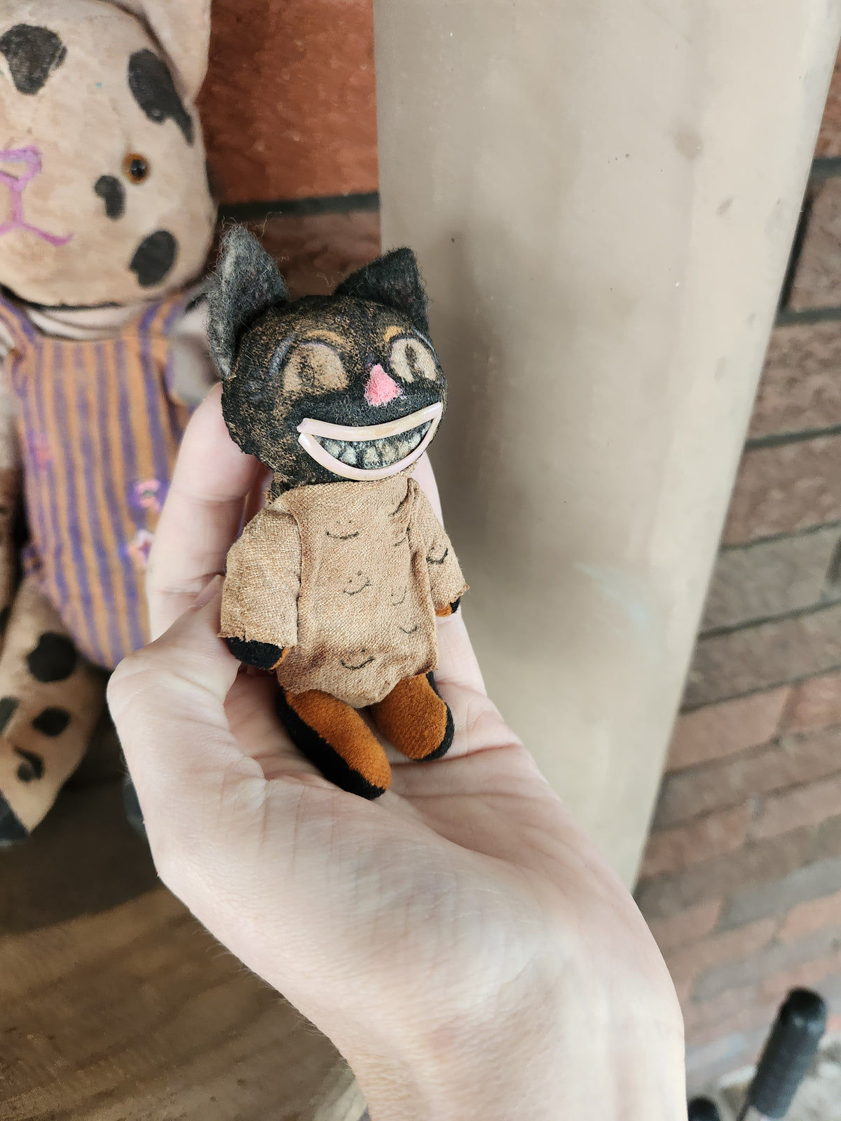 Raggy Cat