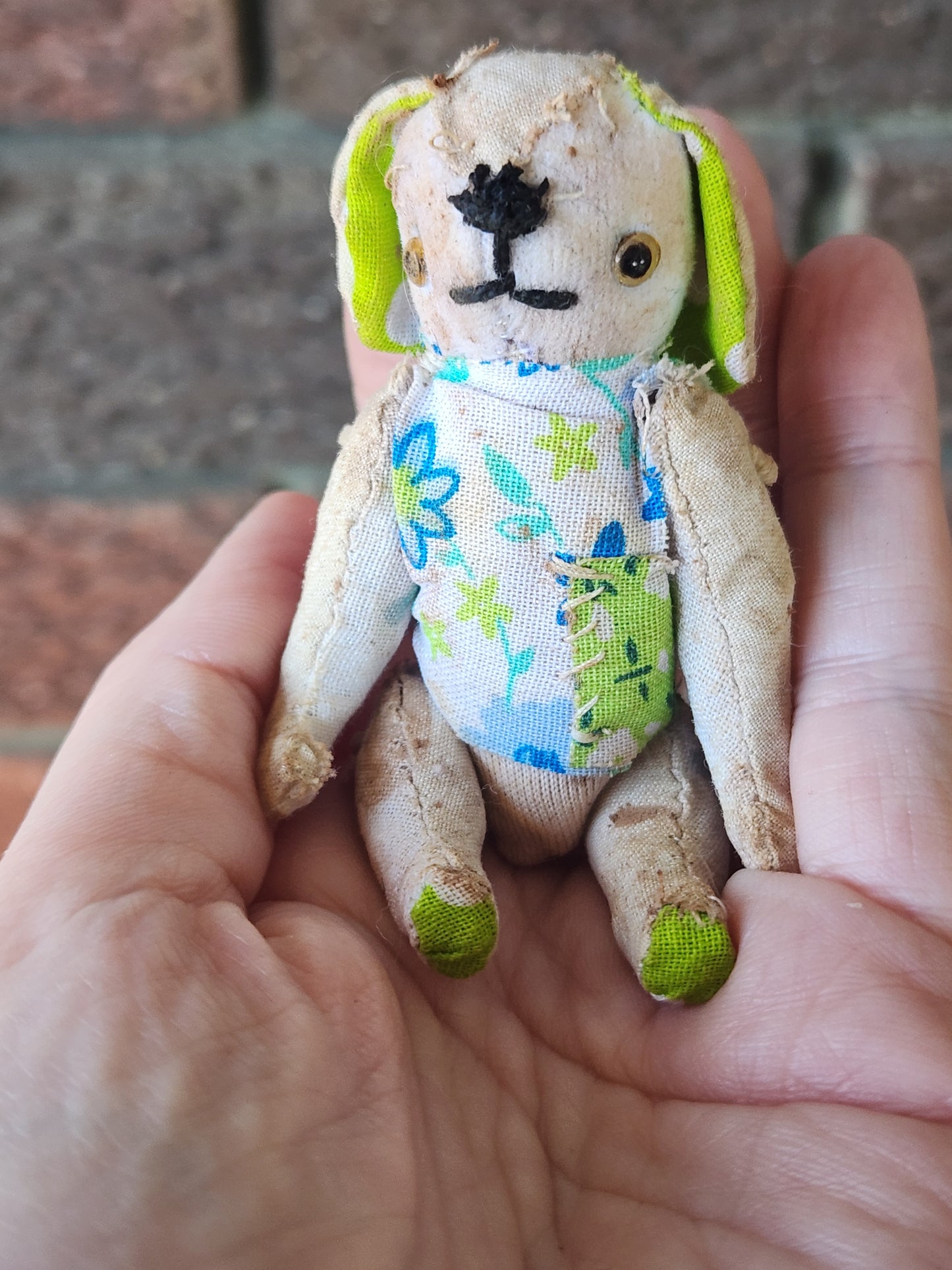 Raggy Dog