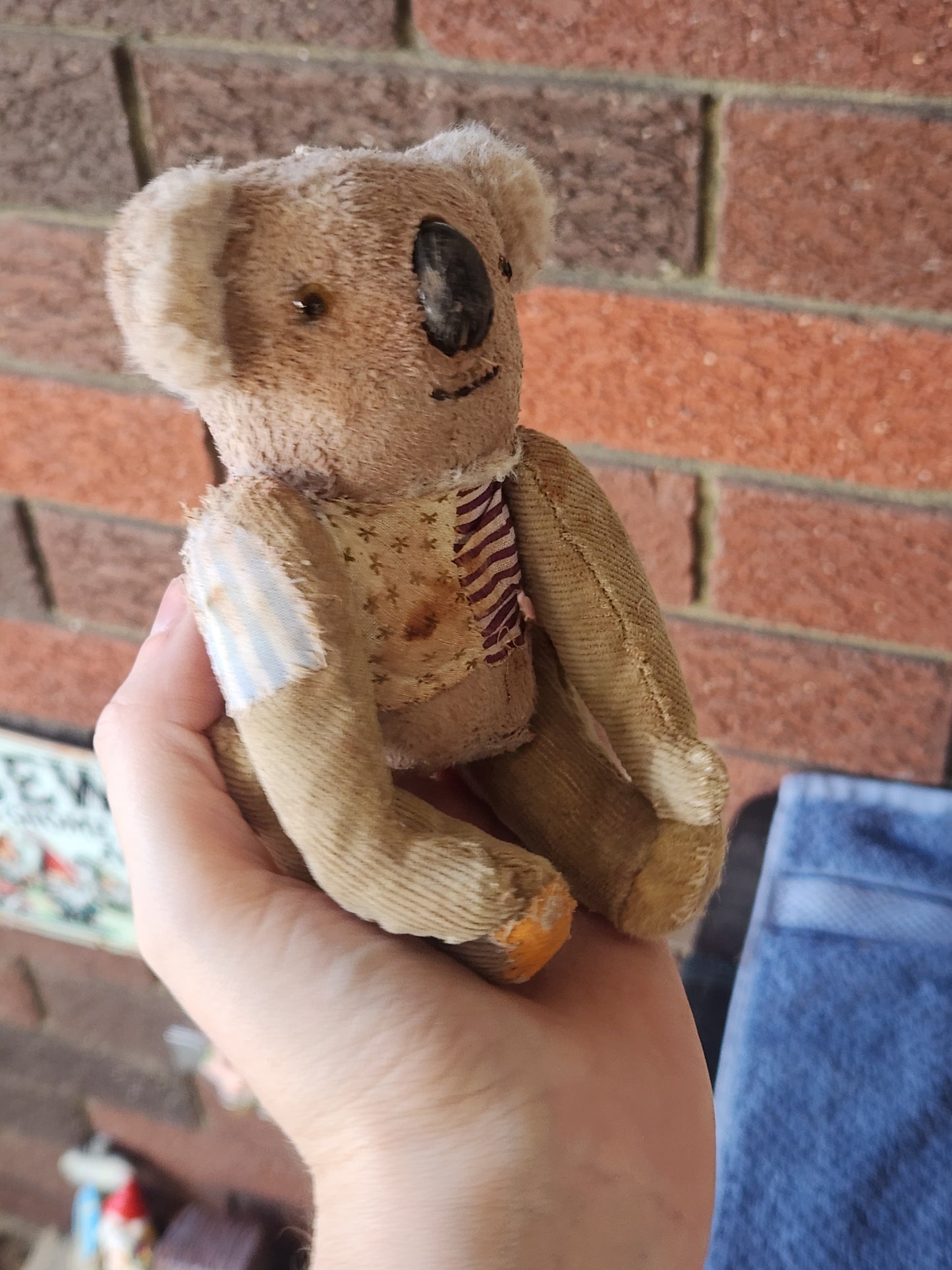 Raggy Koala