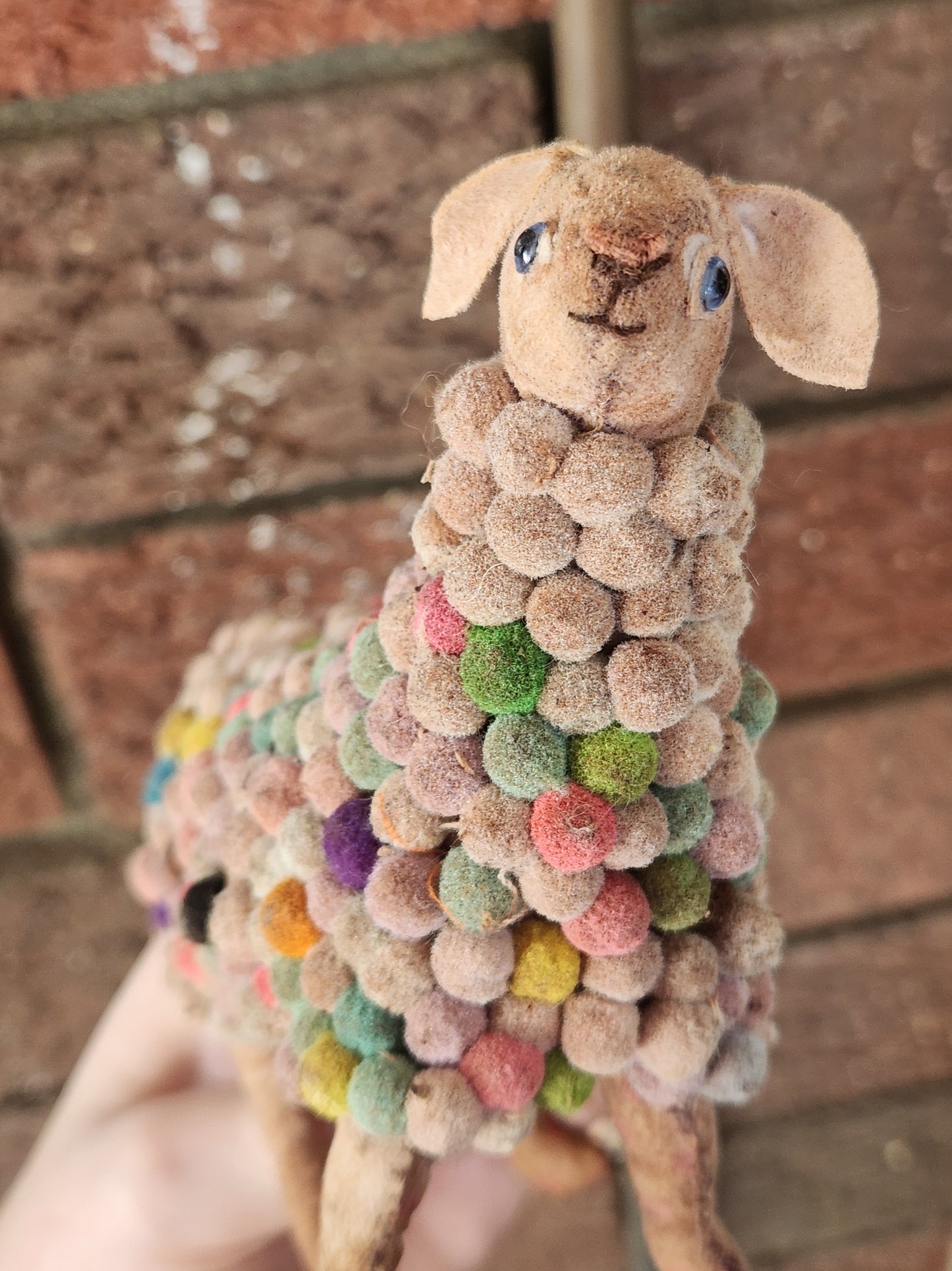 Rainbow Raggy Sheep