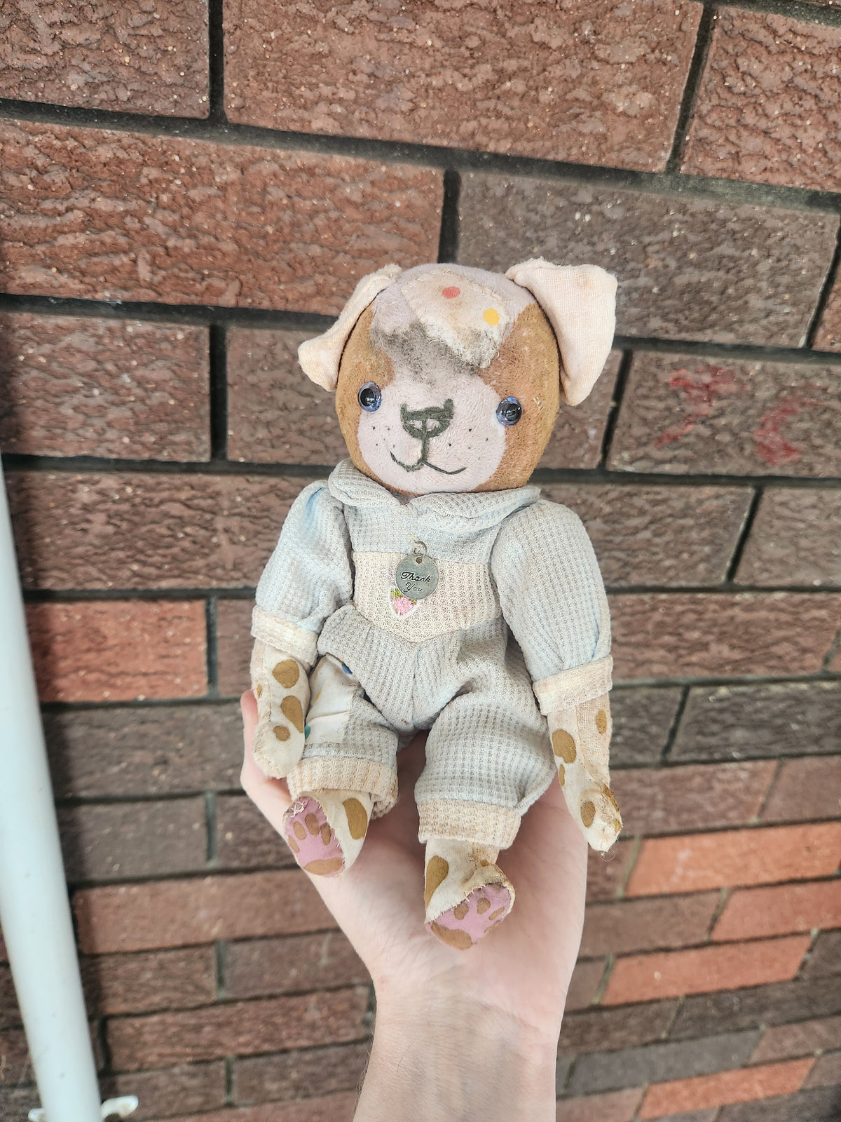 Raggy Pup