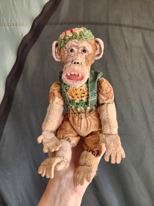 'Coupo' Raggy Chimpanzee