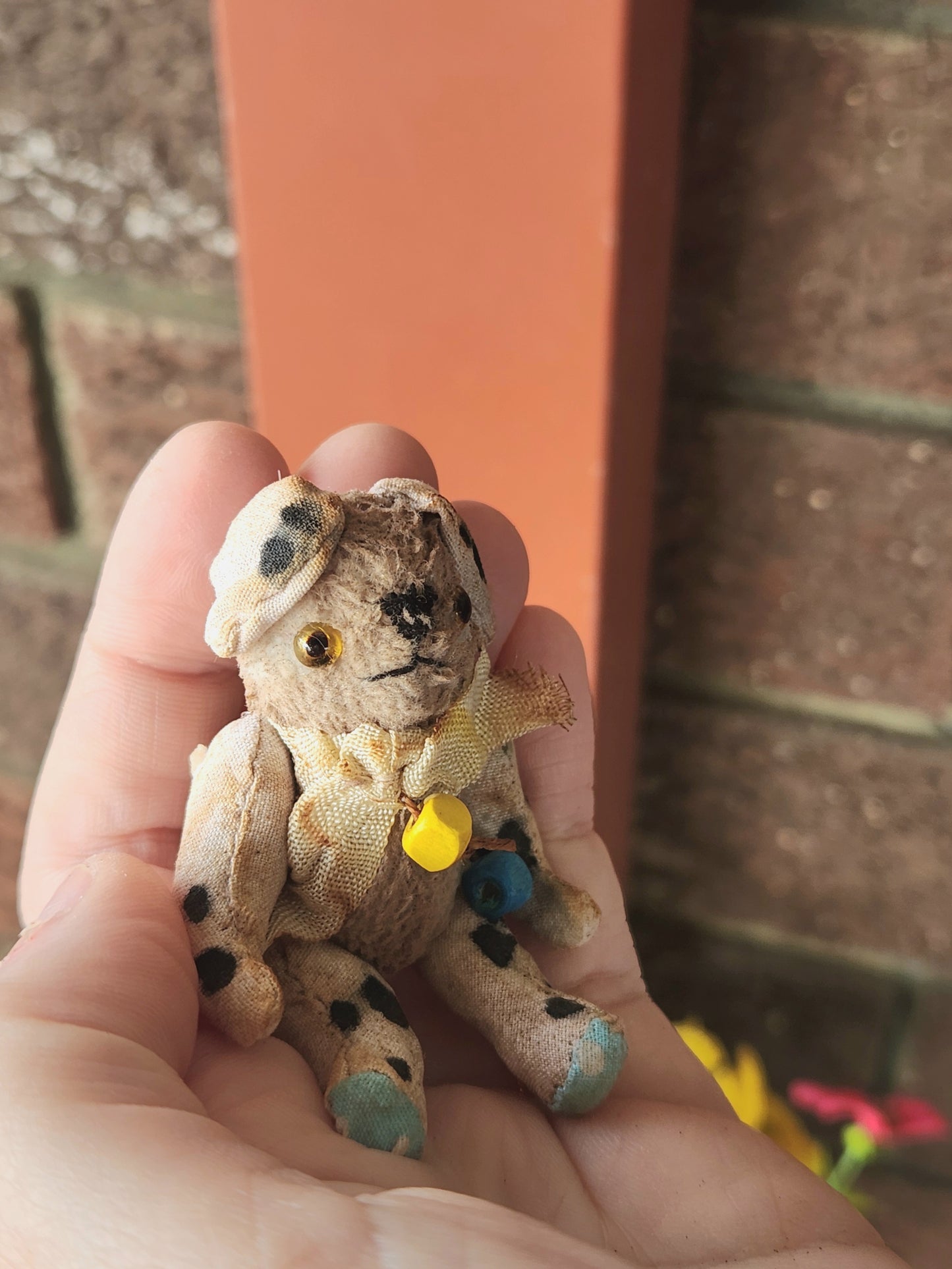 Raggy Pup