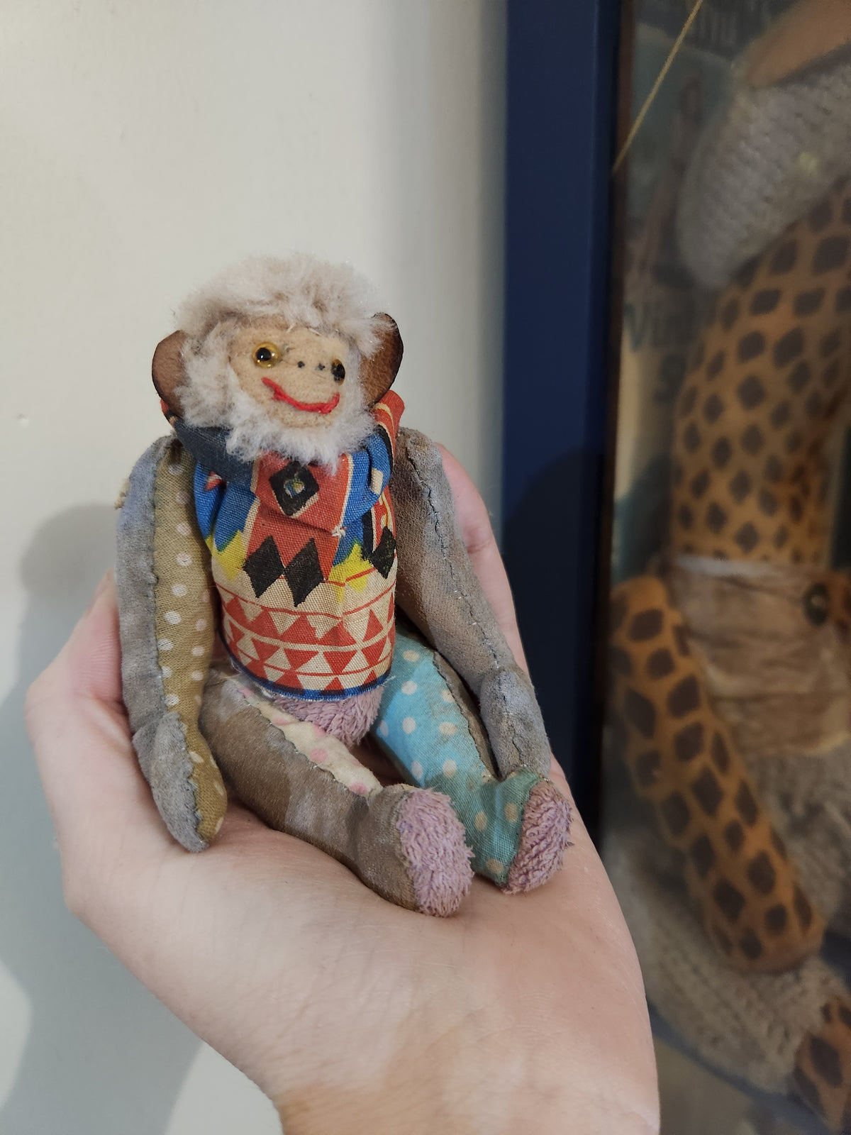 Raggy Monkey