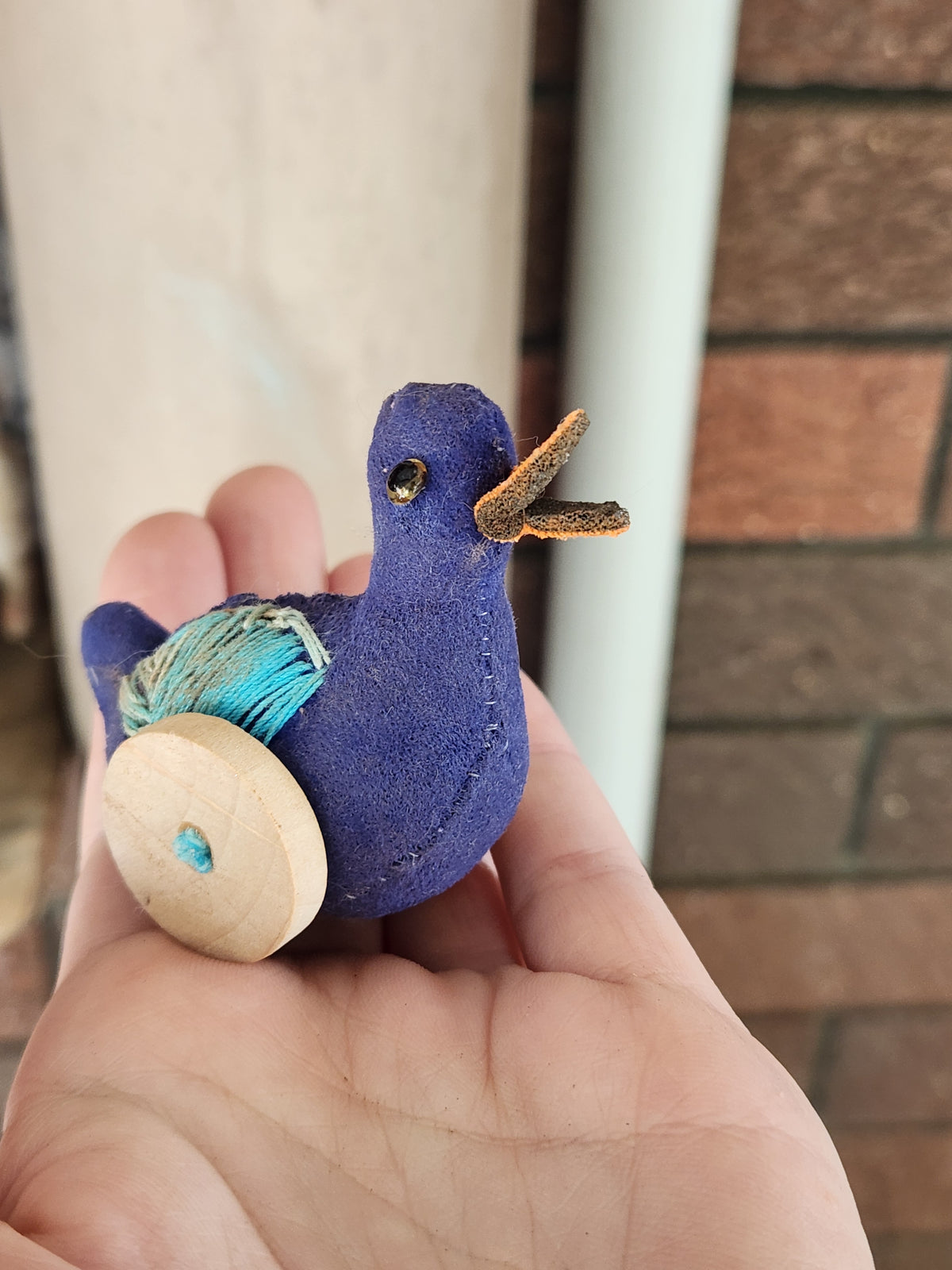 Raggy Duck