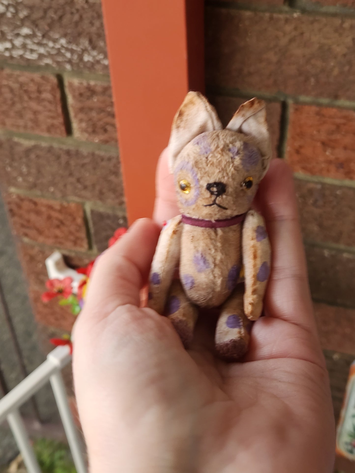 Raggy Pup