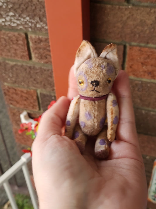 Raggy Pup