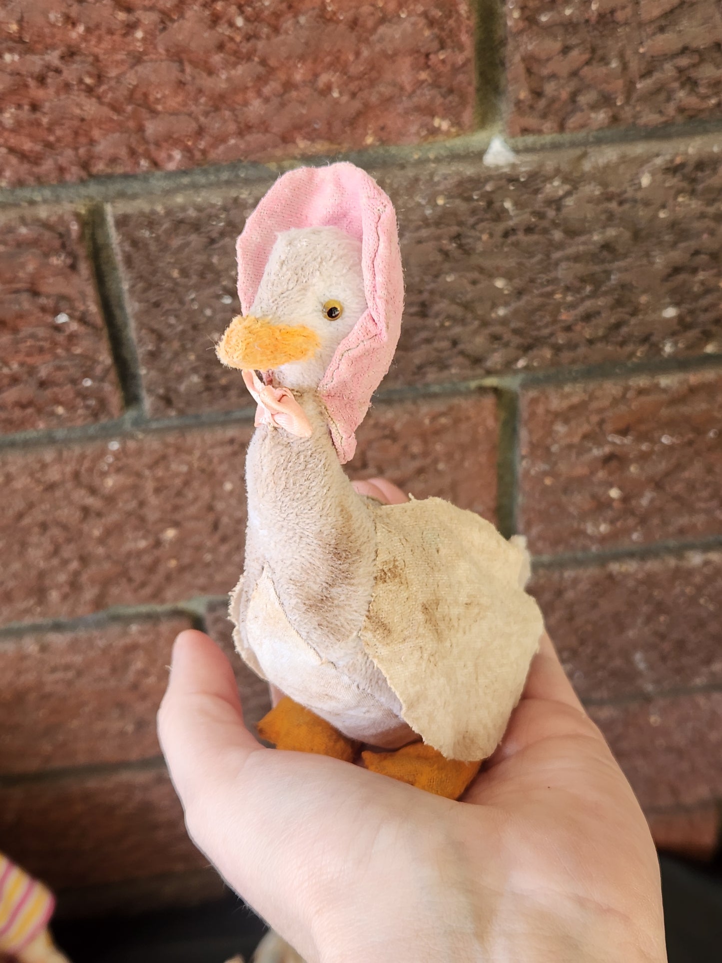 Raggy Puddleduck