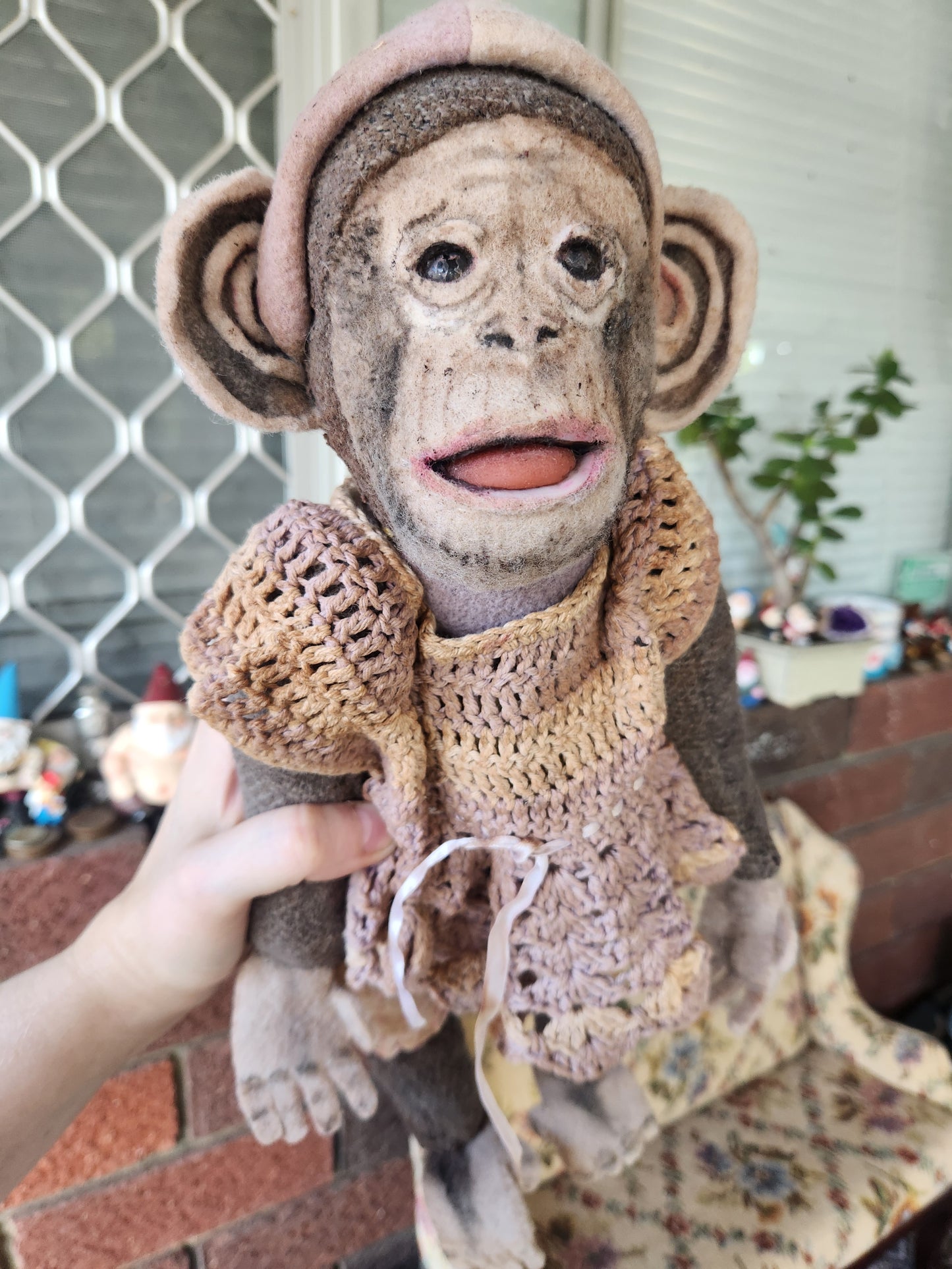 Baby Chimp 'Mooshka'