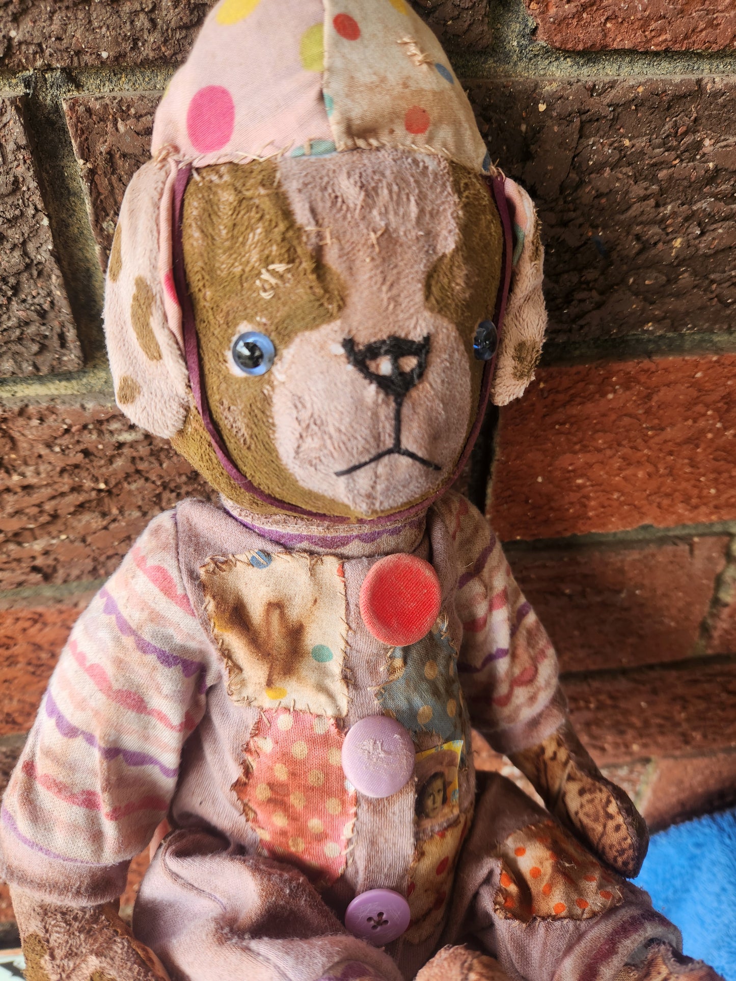 Raggy Clown Dog