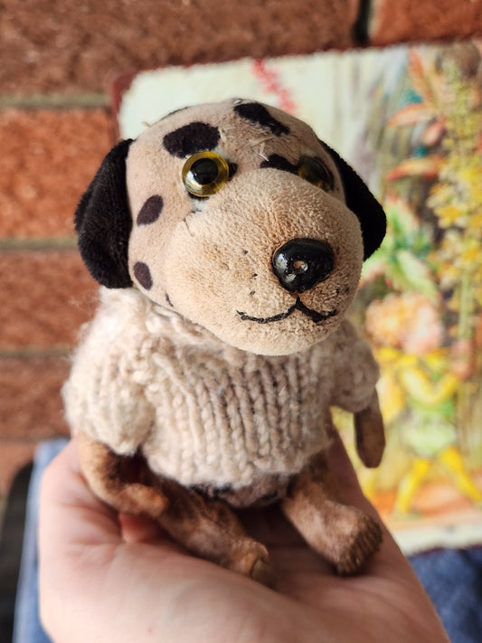 Raggy Dalmation