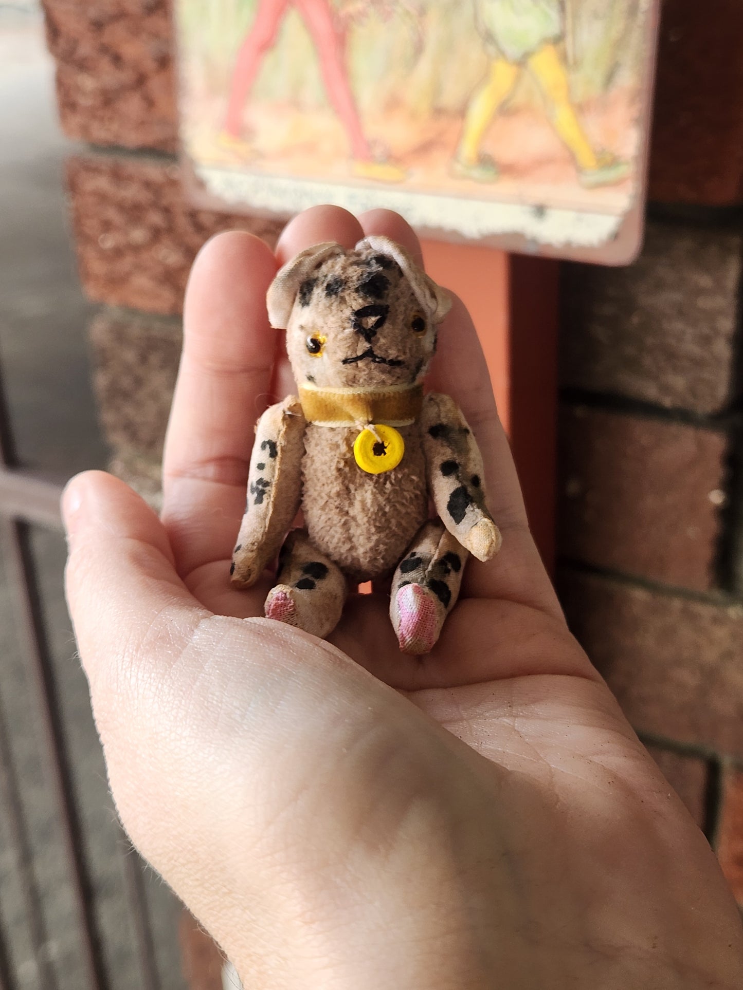 Mini Raggy Pup