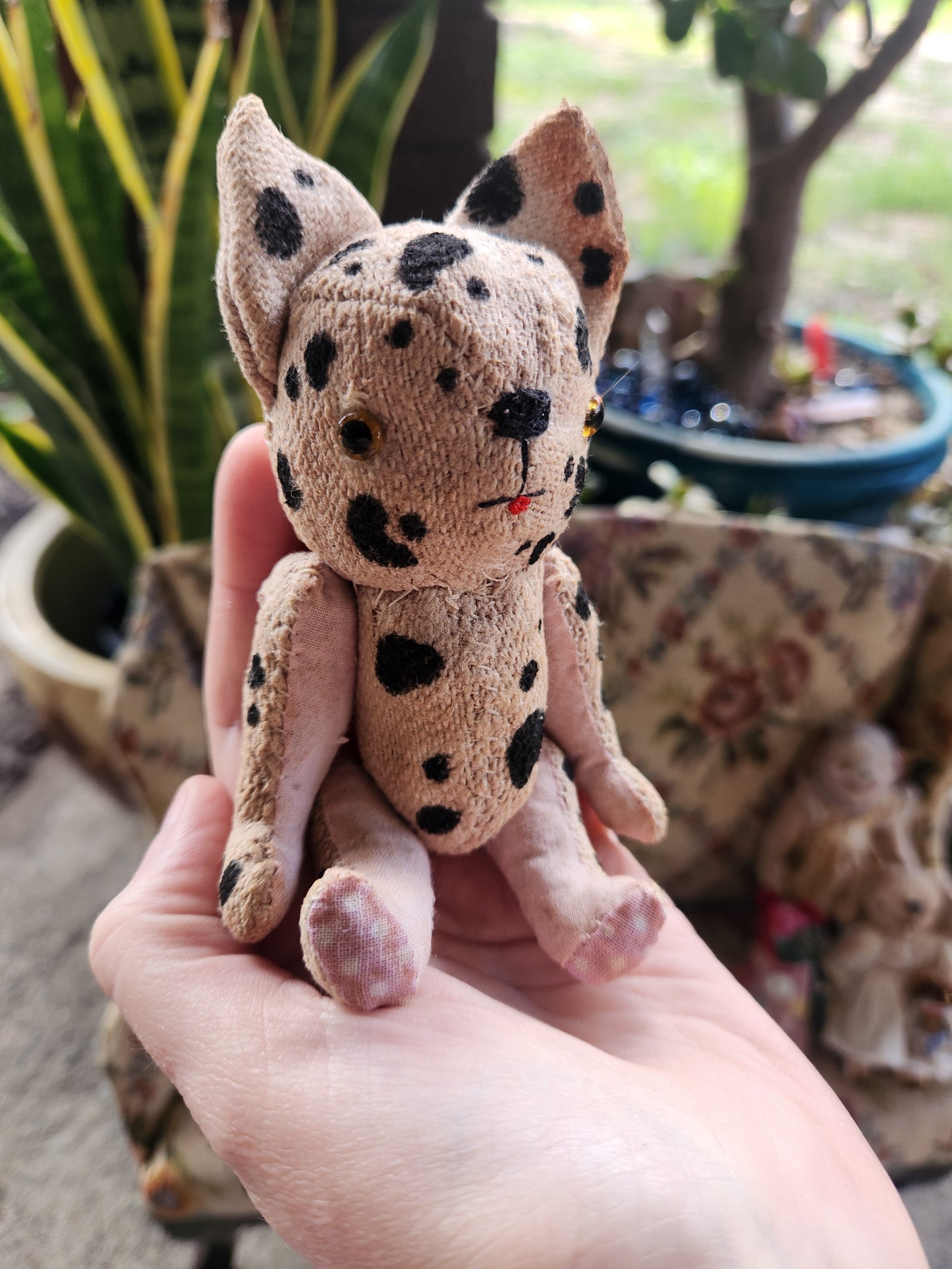 Raggy Dog