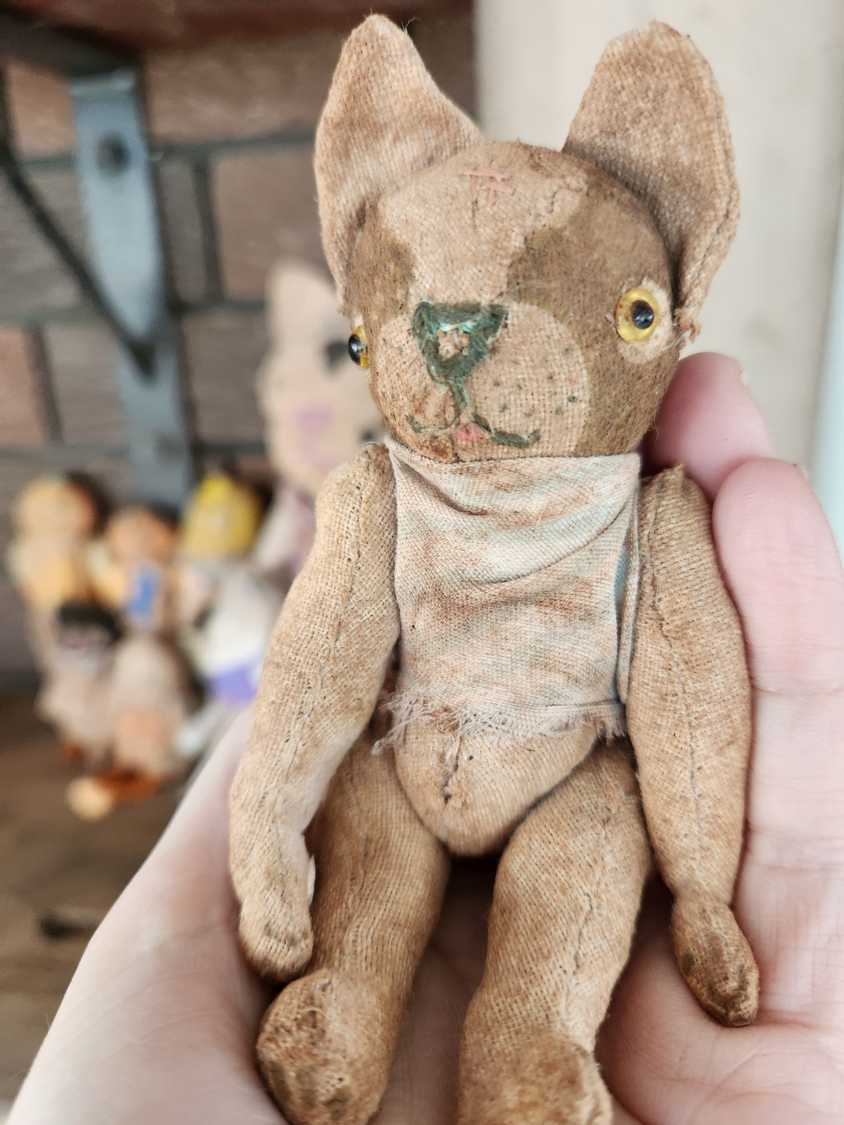 Raggy Dog