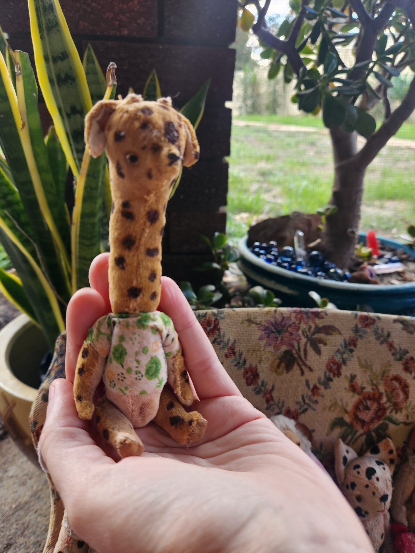 Raggy Giraffe