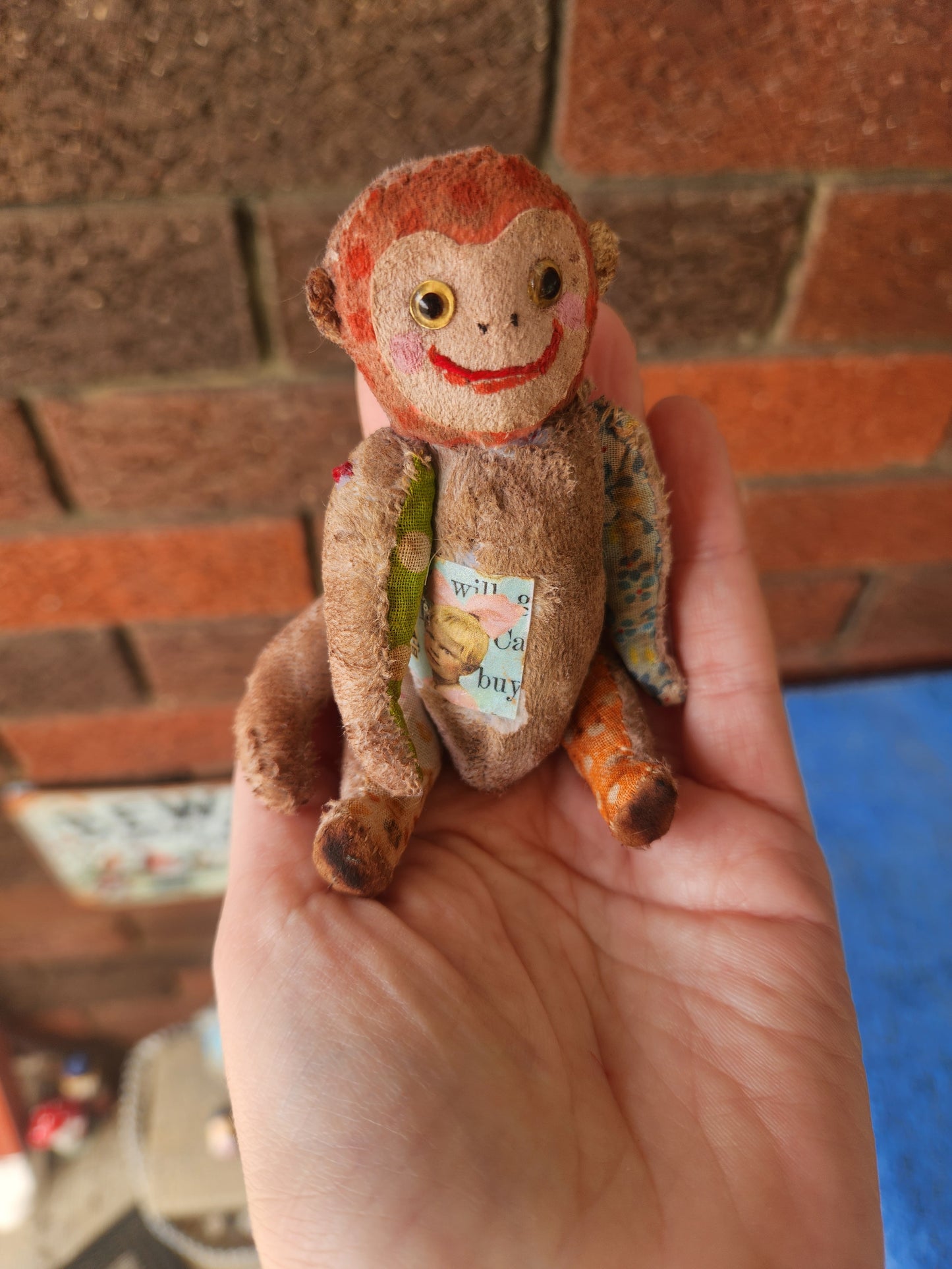 Raggy Monkey