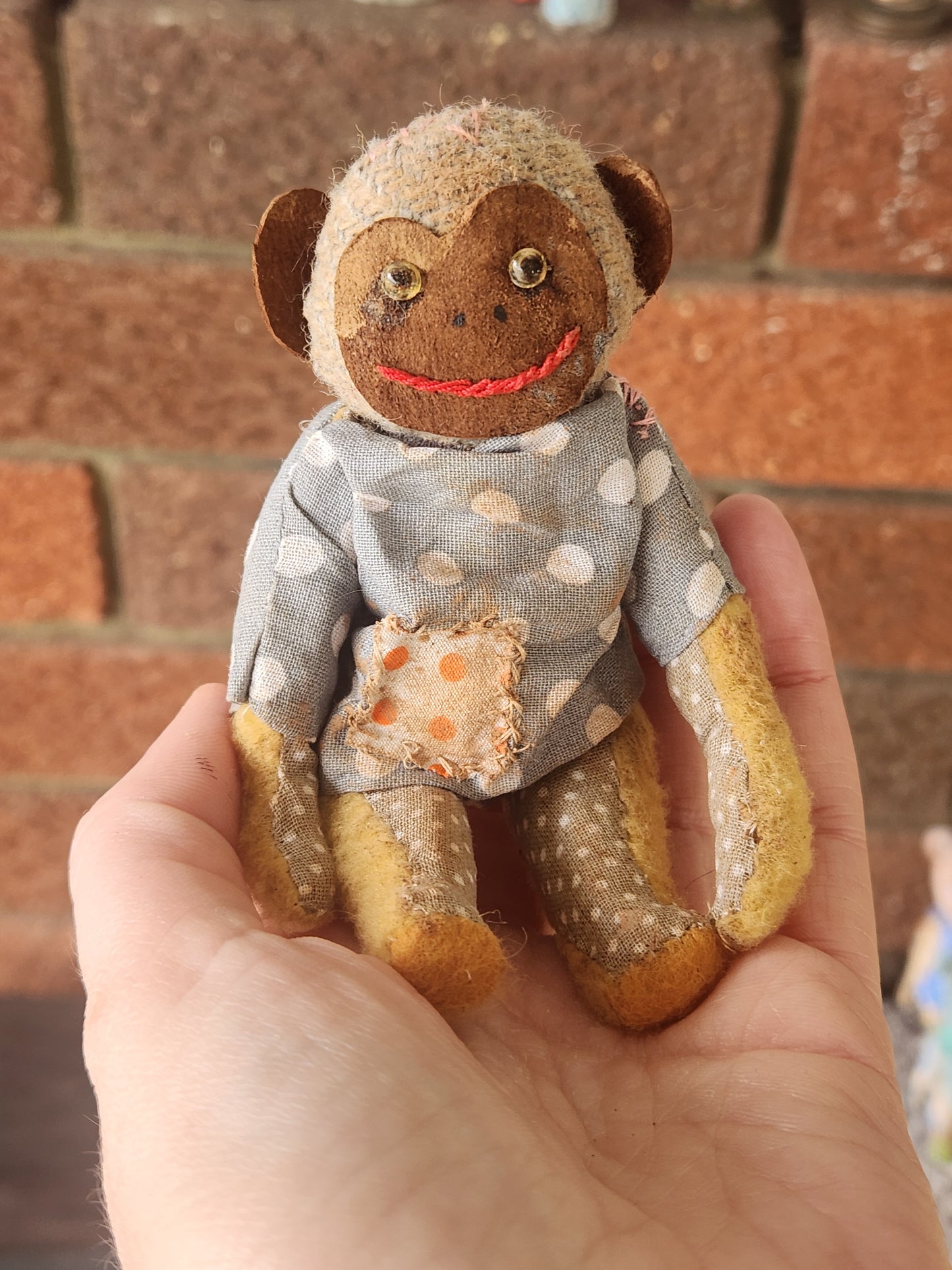 Raggy Monkey