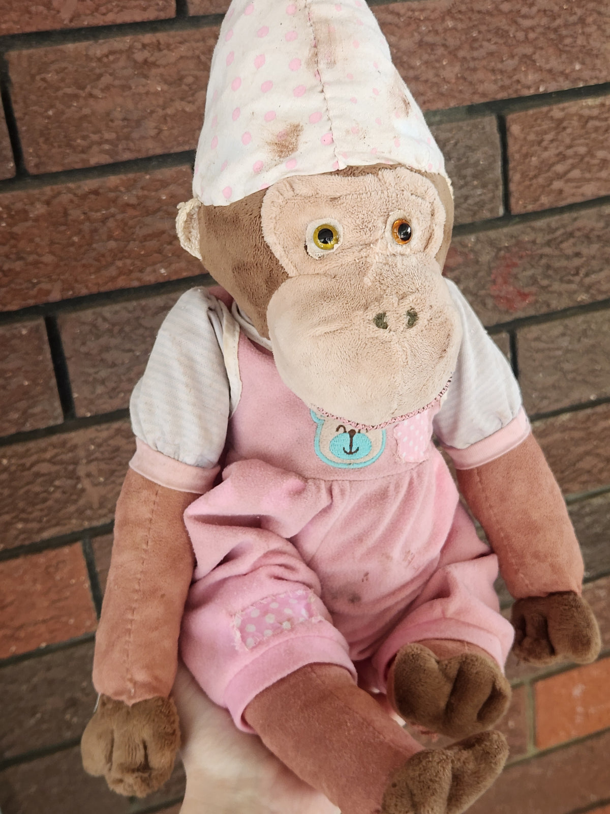 Raggy Monkey