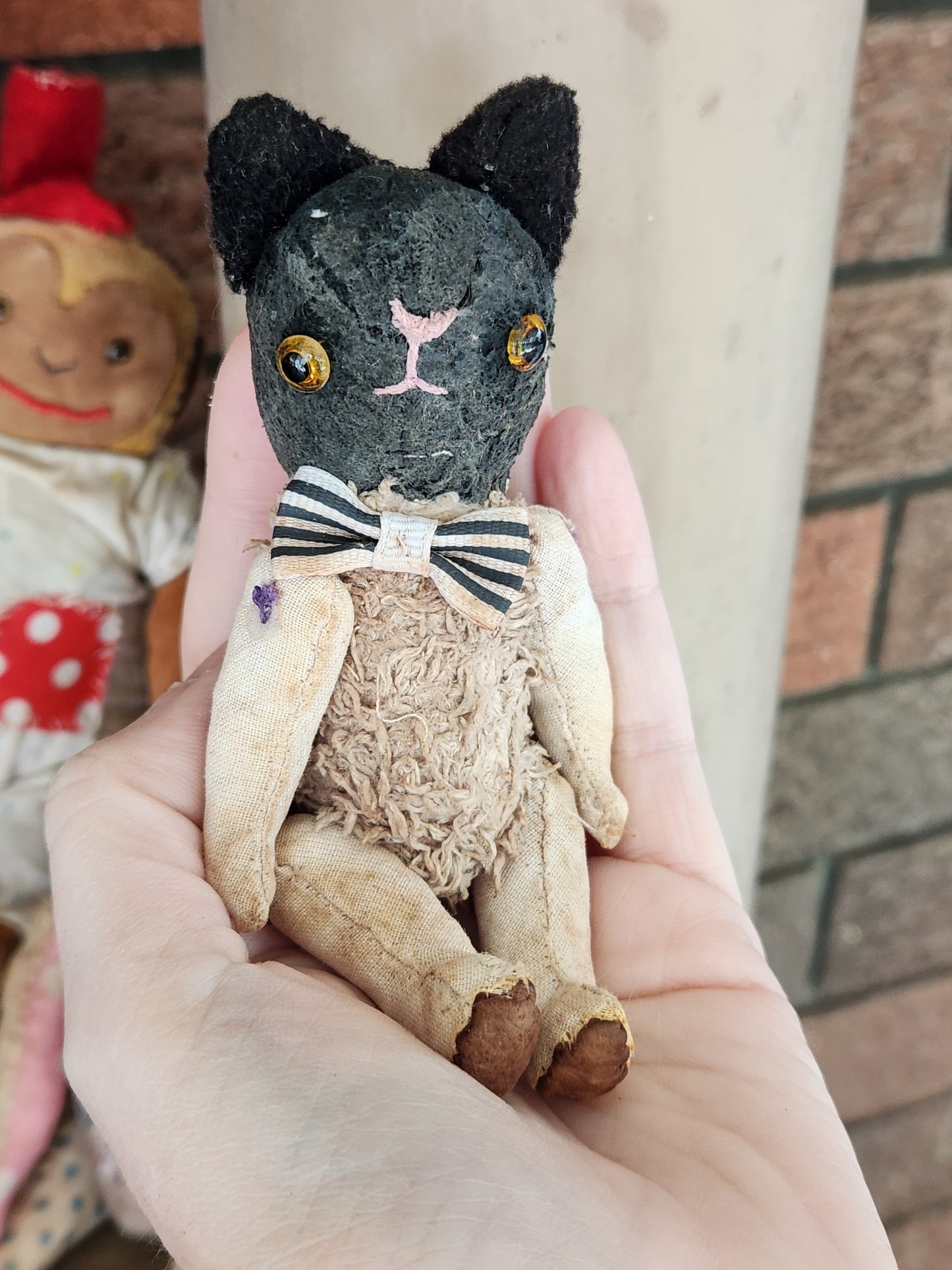 Raggy Cat