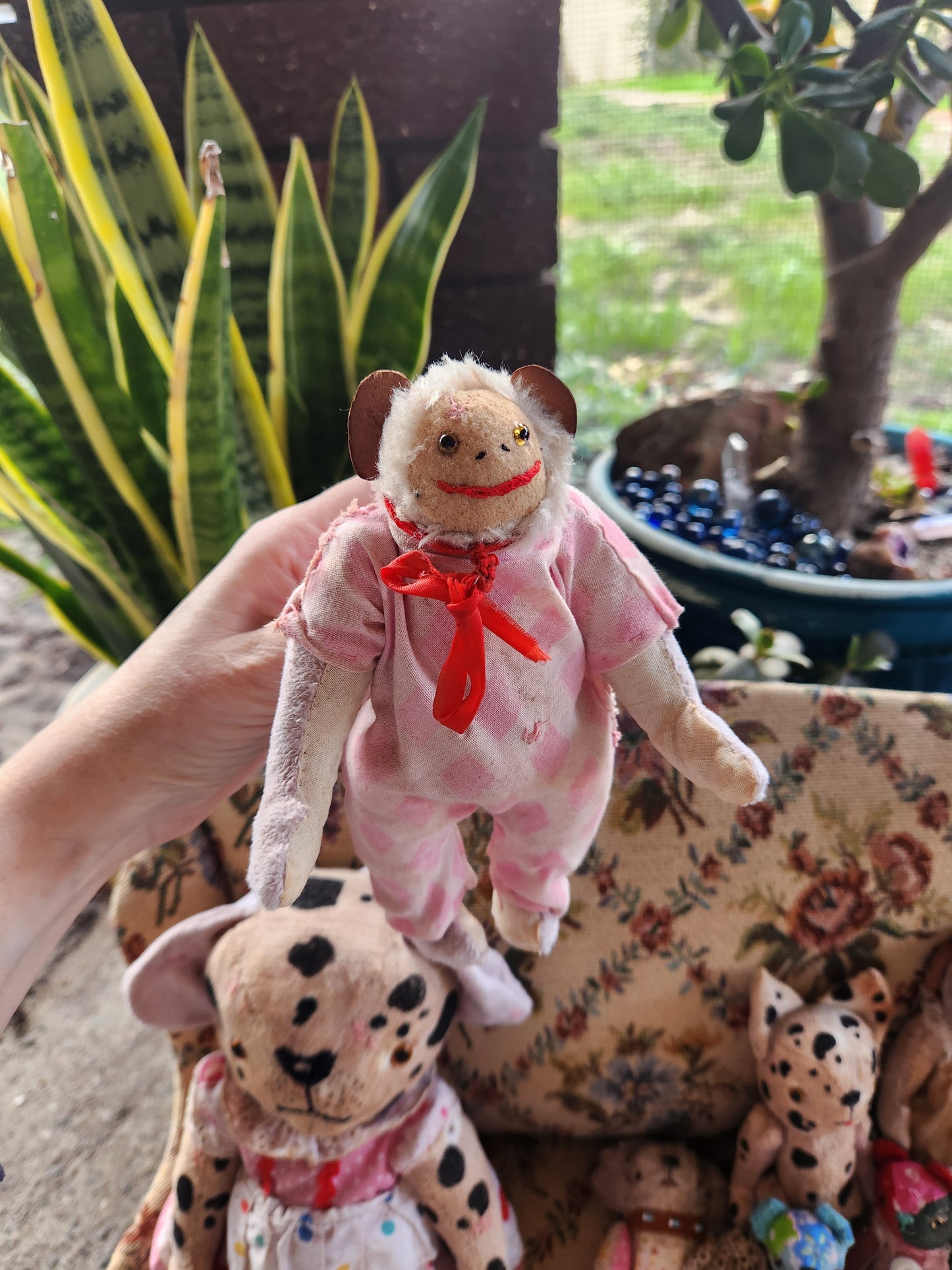 Raggy Monkey