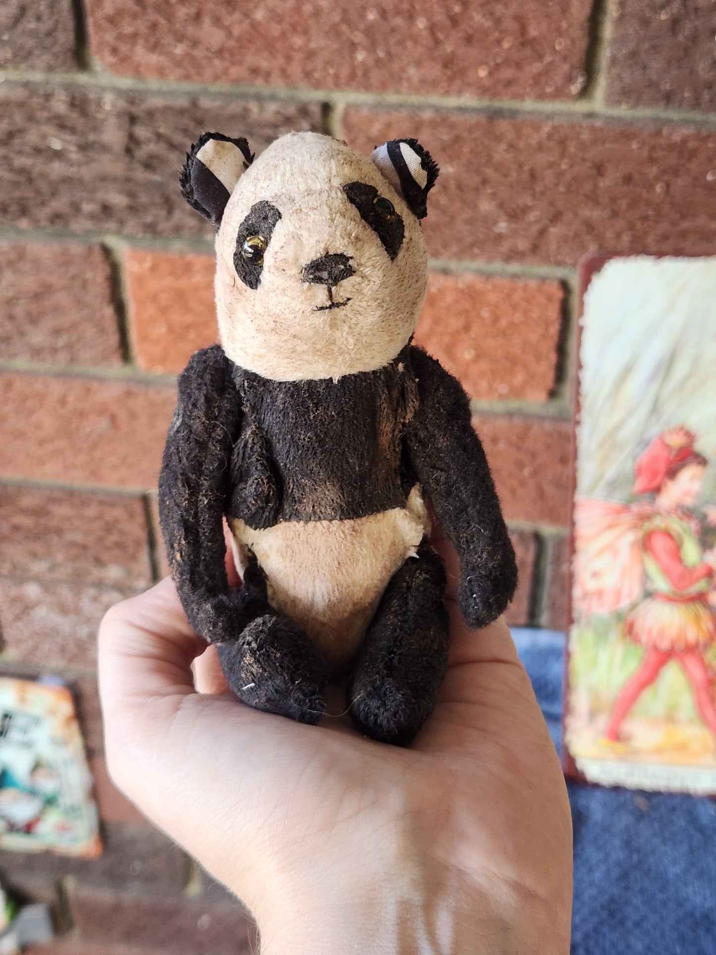 Raggy Panda