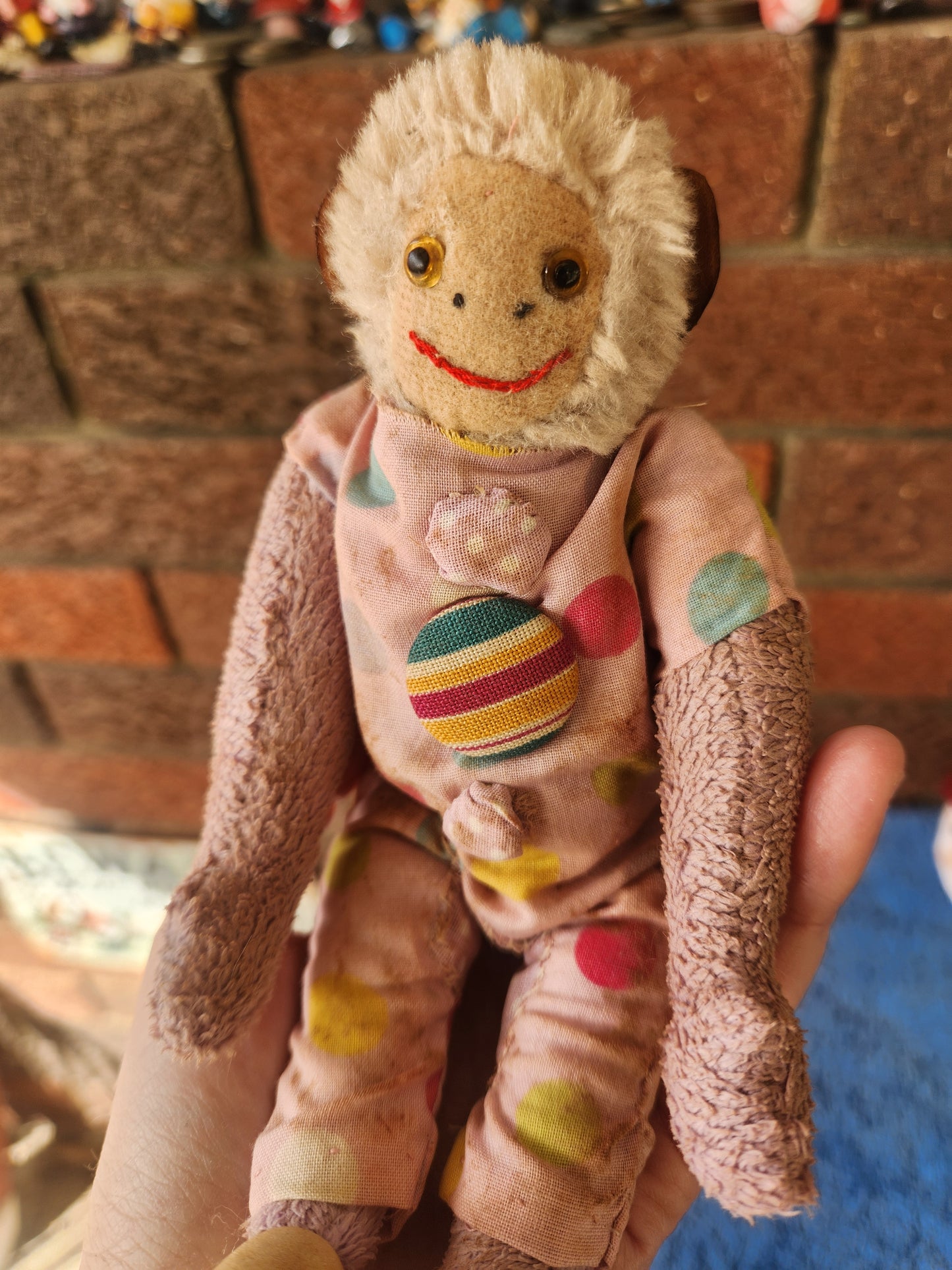 Raggy Monkey