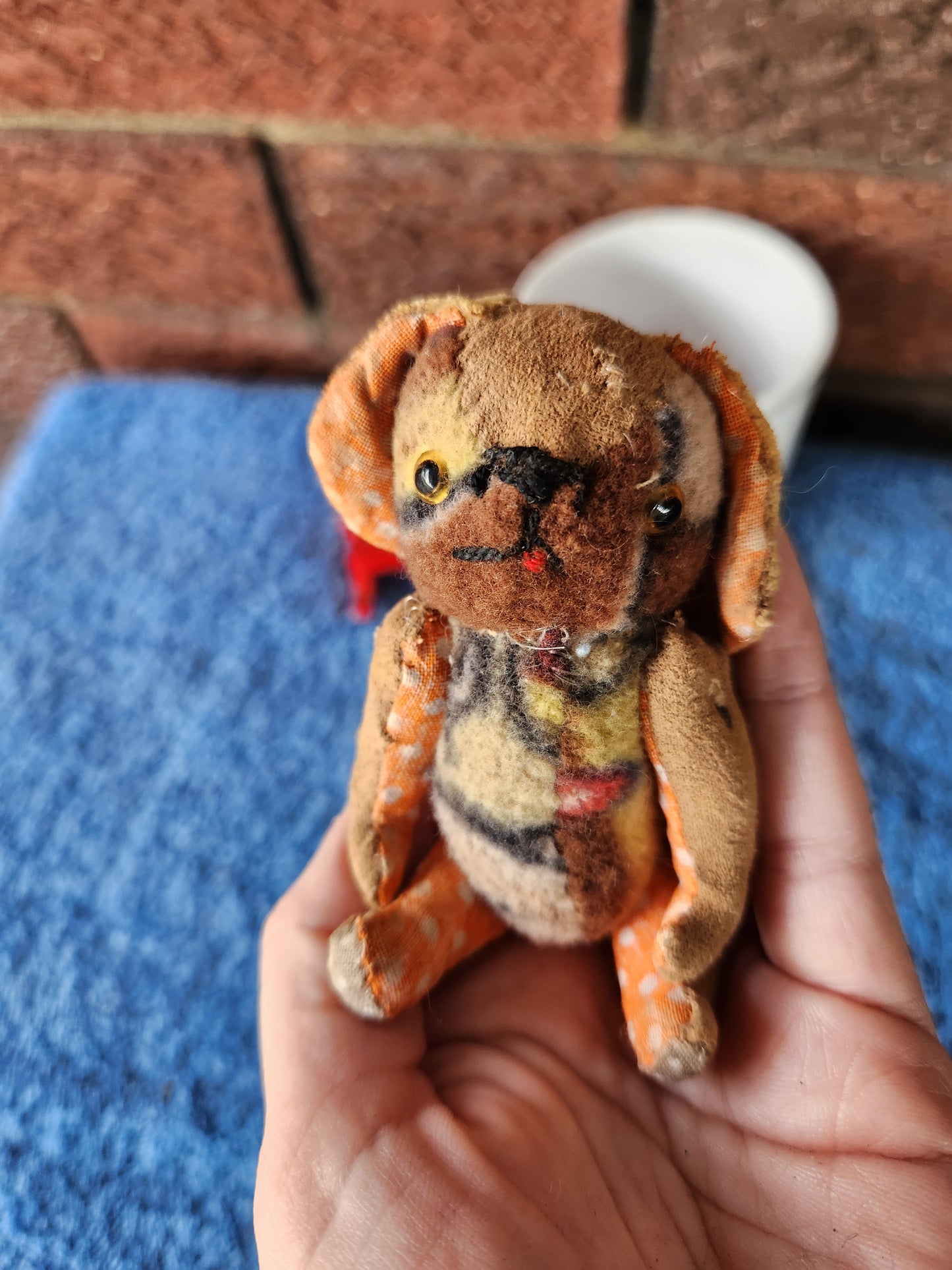 Raggy Dog