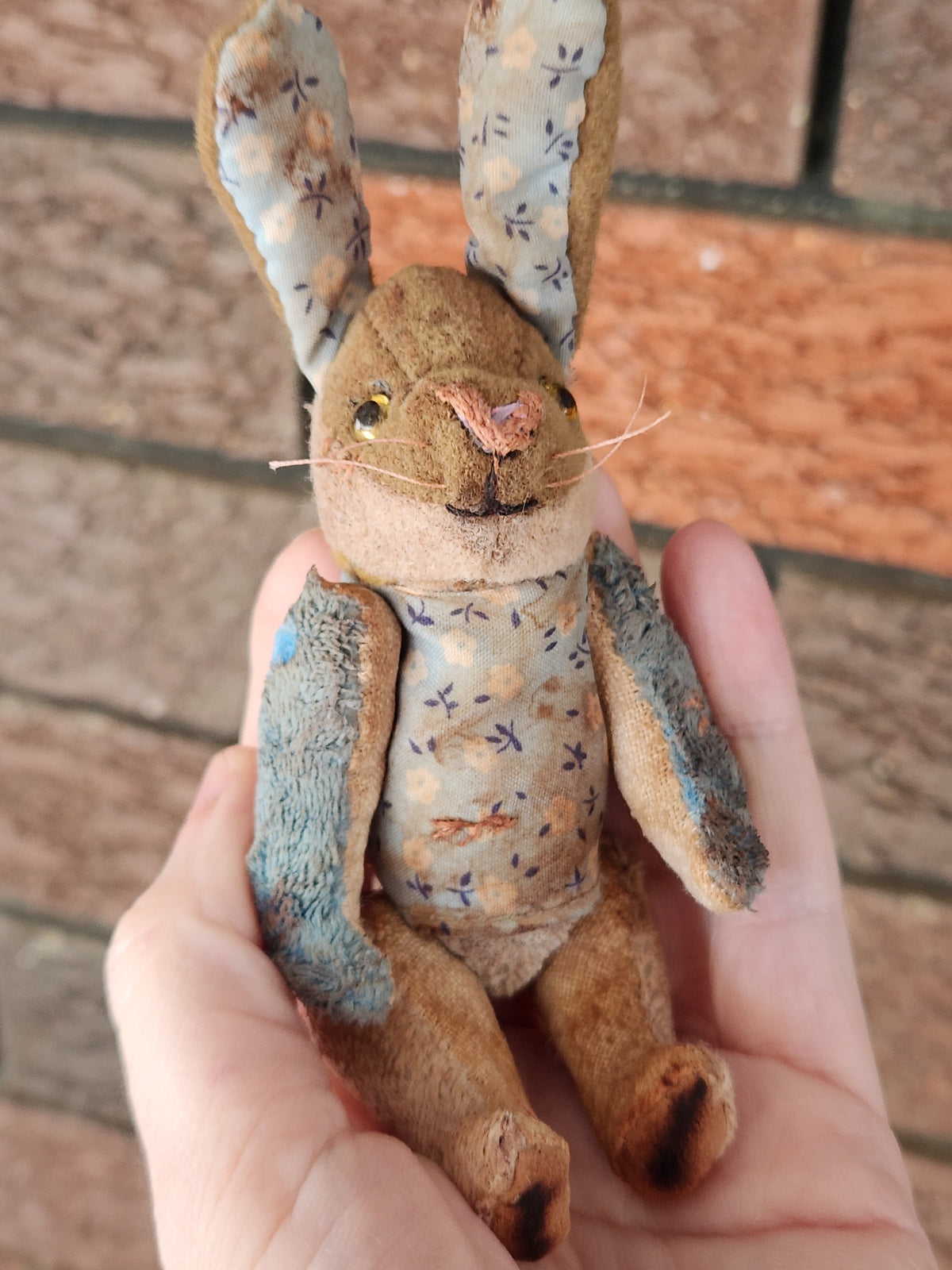 Raggy Rabbit