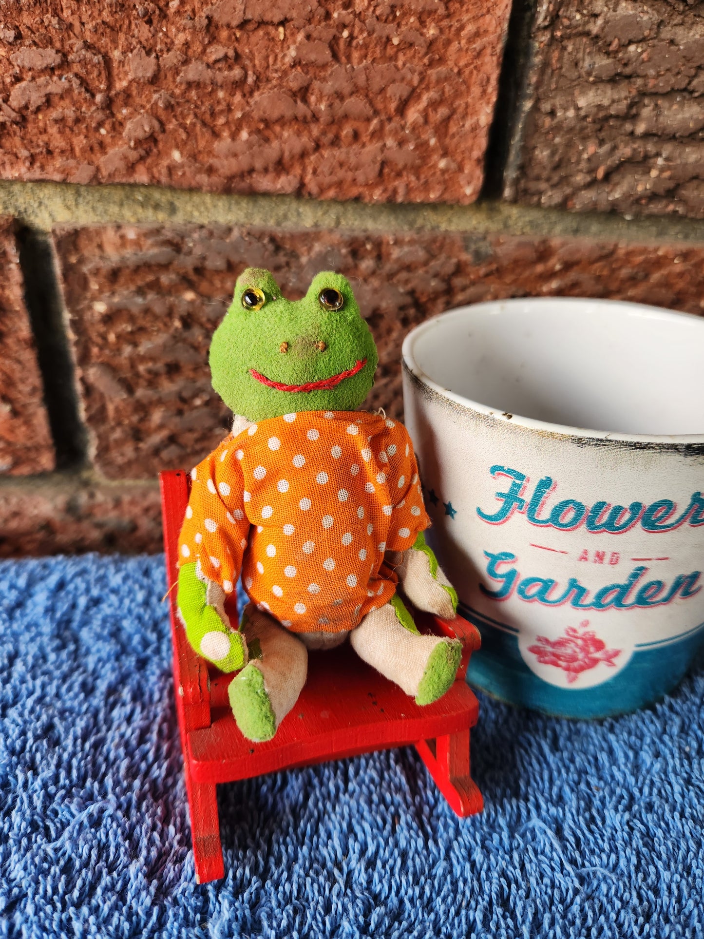 Raggy Frog