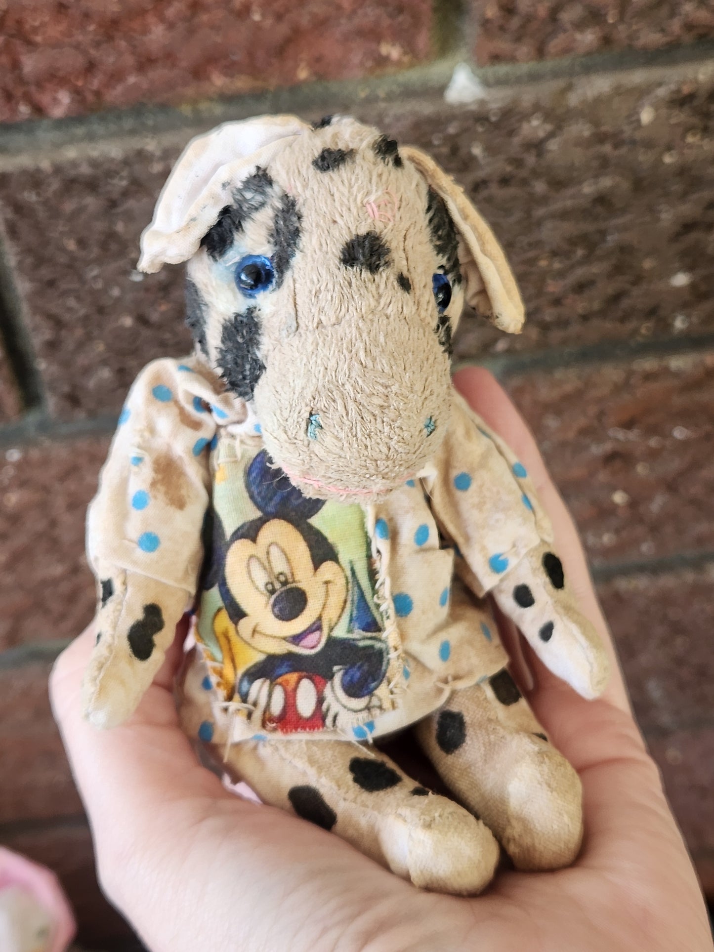 Raggy Cow